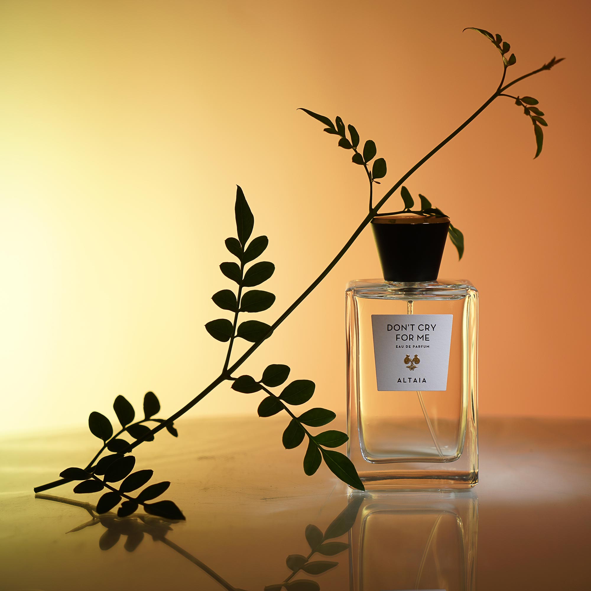 Yu Sōn ALTAIA: A Calm Look ~ Fragrance Reviews