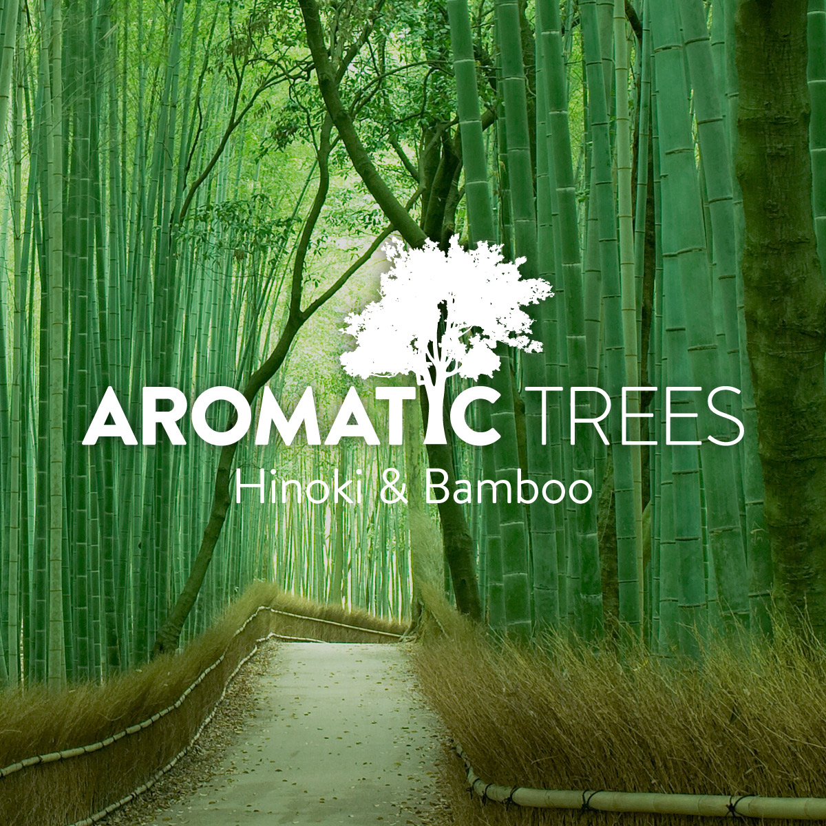 Aromatic Trees: Hinoki and Bamboo ~ Columns