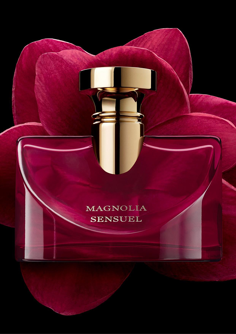 bvlgari magnolia