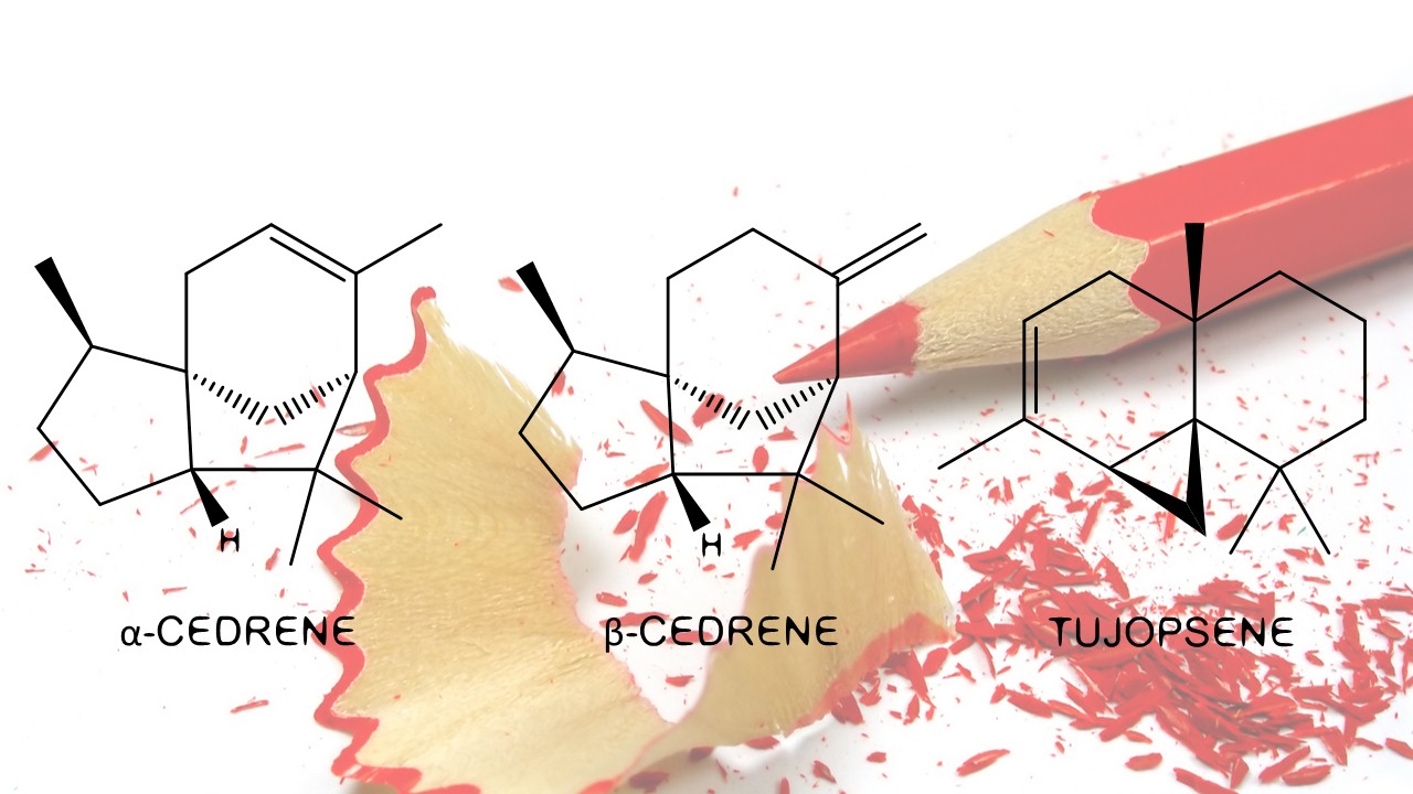 pencil wood chemical constituents