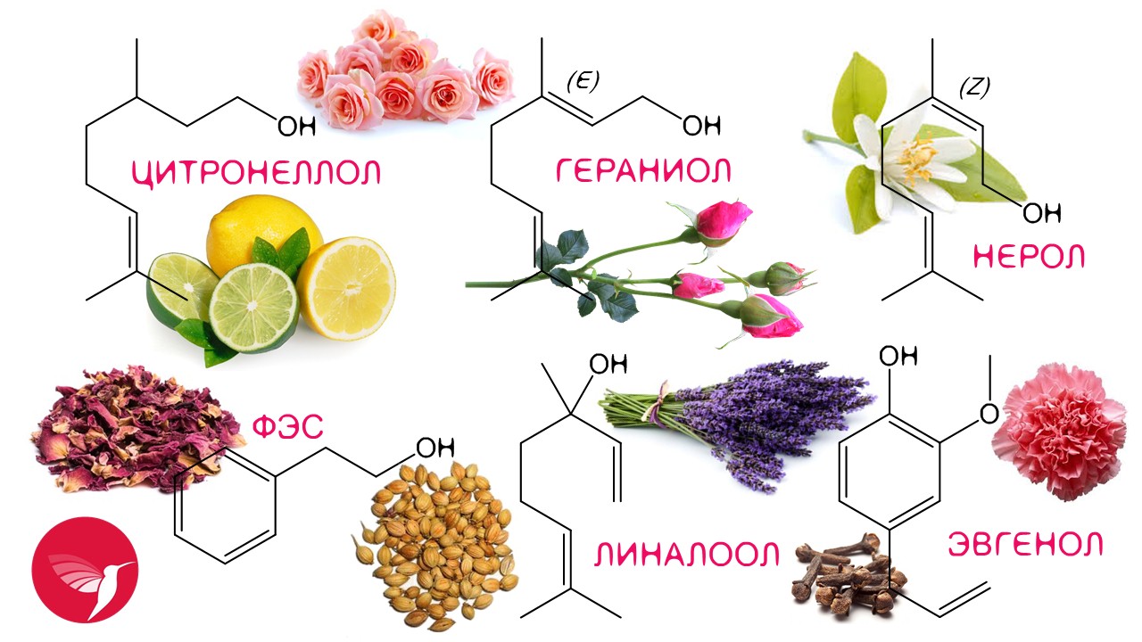 Citronellol. Цитронеллол. Цитронеллол структурная формула. Эвгенол структурная формула. Эвгенол формула.