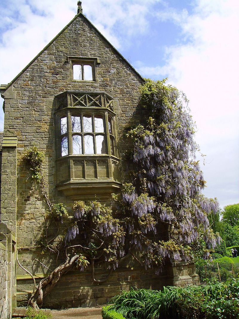 country house with mounting wisterias 
