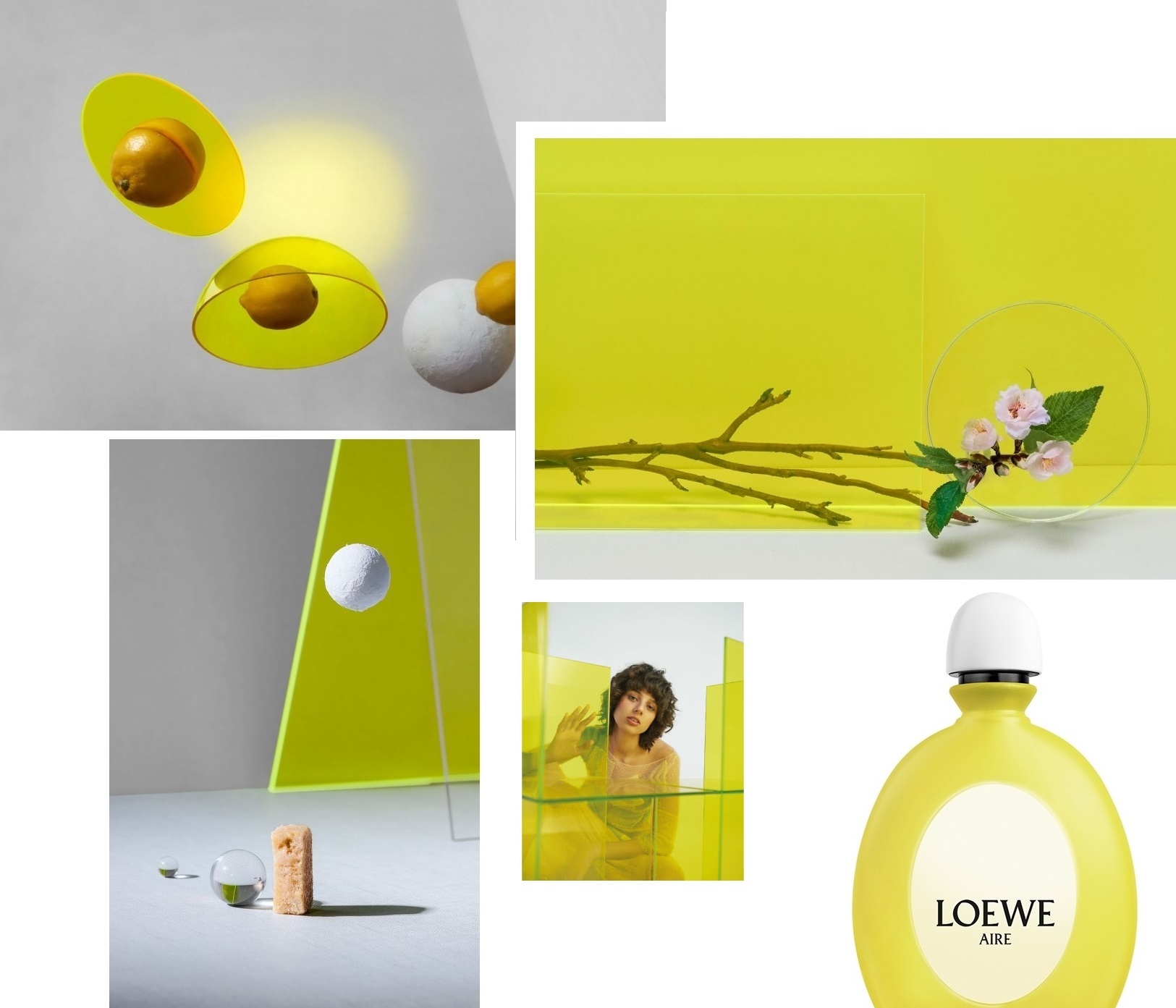 Loewe Aire Loewe Fantasía 