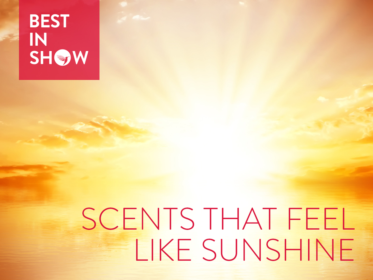 Sonny Lagon Hd Sex Video - Best in Show: Scents that Feel Like Sunshine (2018) ~ Best in Show