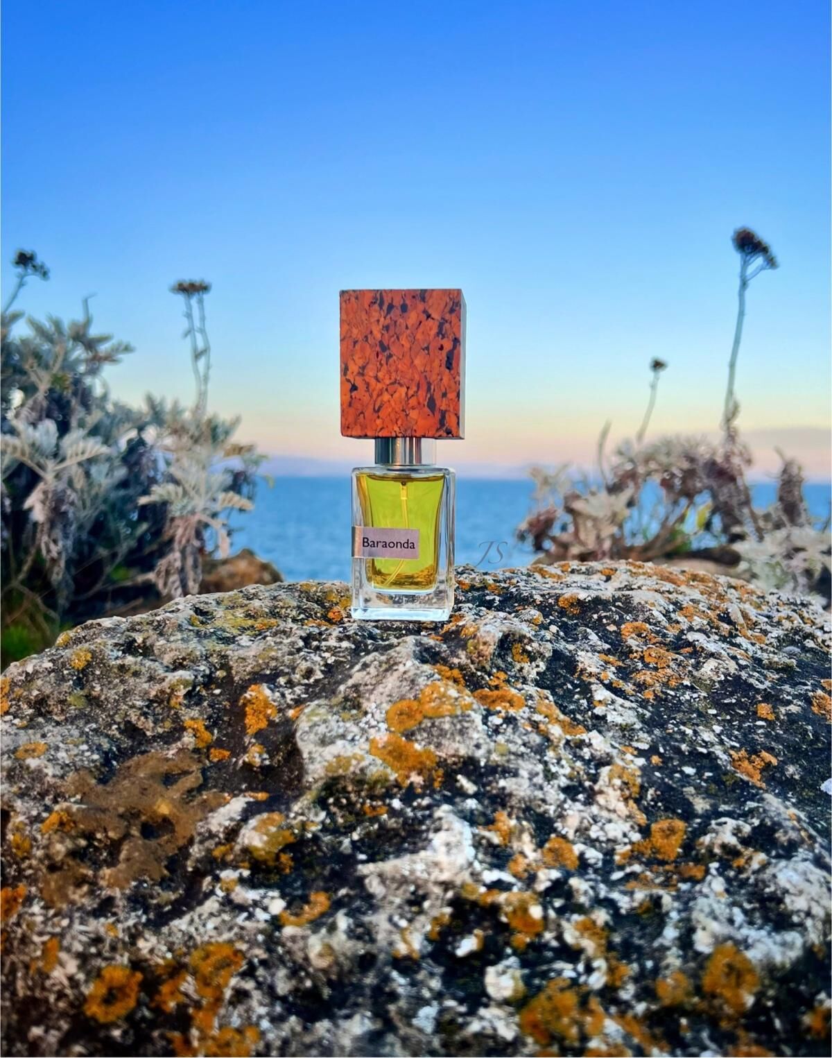 Baraonda on a rock