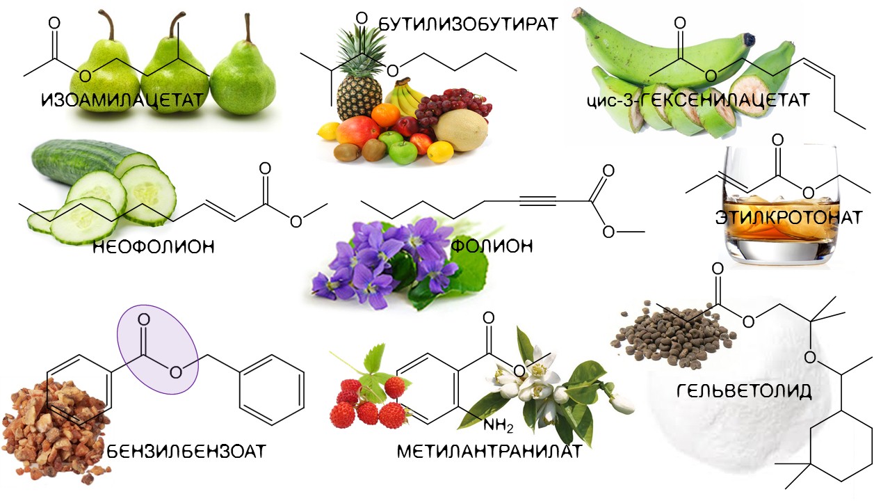 Запах альдегида какой. Сложные эфиры в парфюмерии. Запахи сложных эфиров. Использование сложных эфиров в парфюмерии. Химия запахов сложных эфиров.