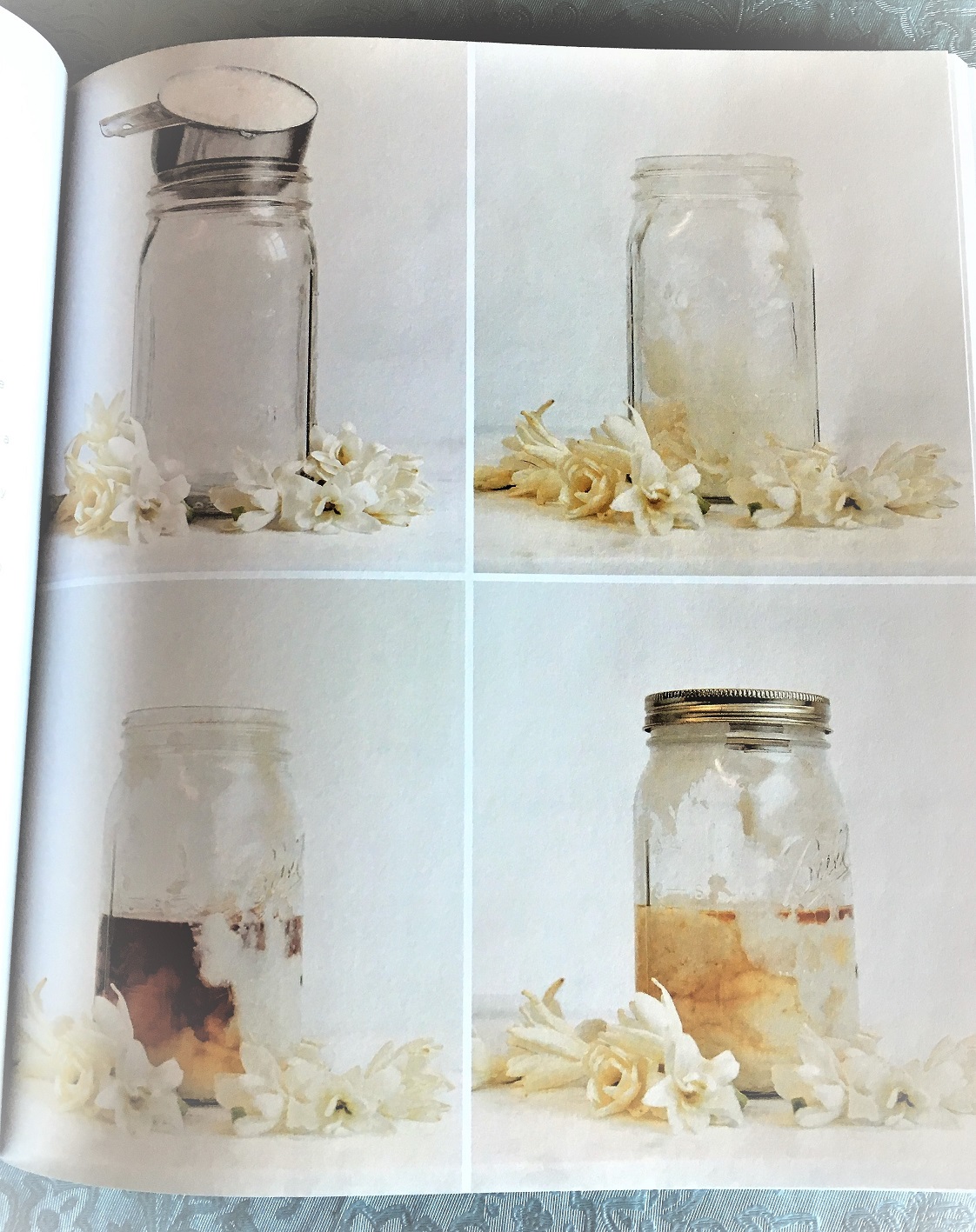 Homemade Perfume by Anya McCoy Book Review Art Books Events