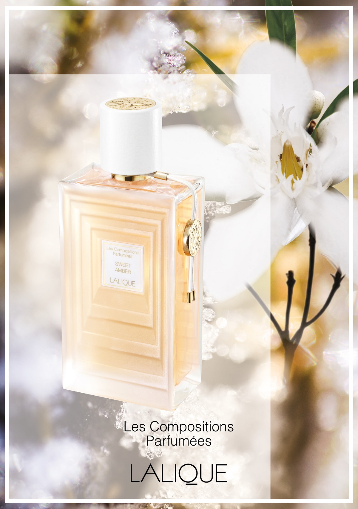 Lalique Sweet Amber