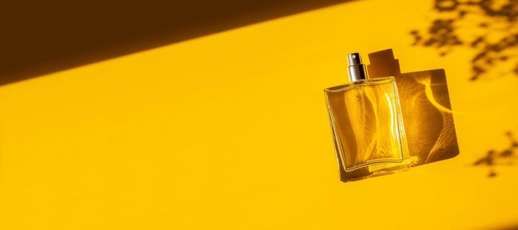 A bottle of perfume in an angular slice of sunshine with interesting shadows