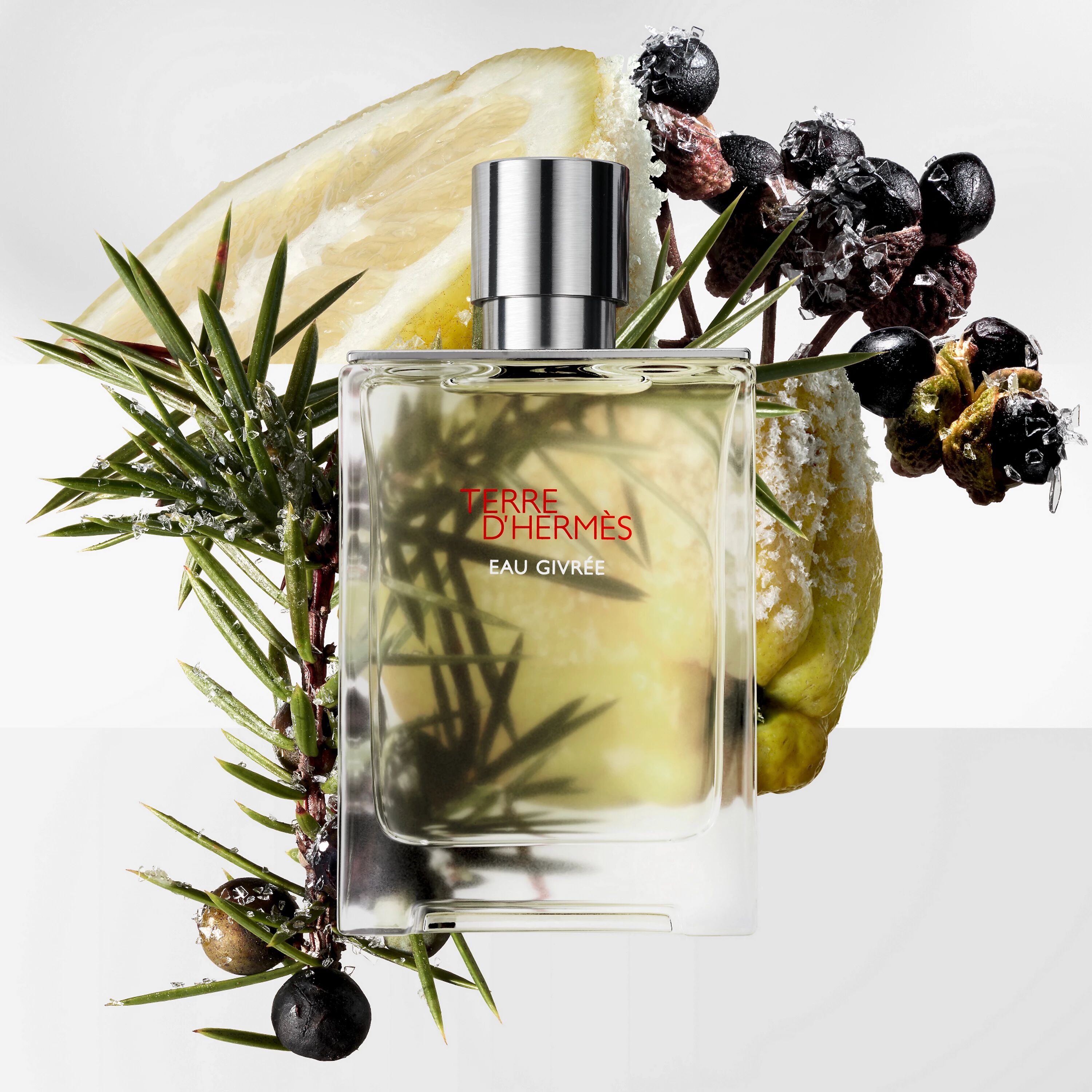 Coffee, Licorice, and Air: What’s the Secret Behind the New Terre d’Hermès Eau de Parfum Intense?