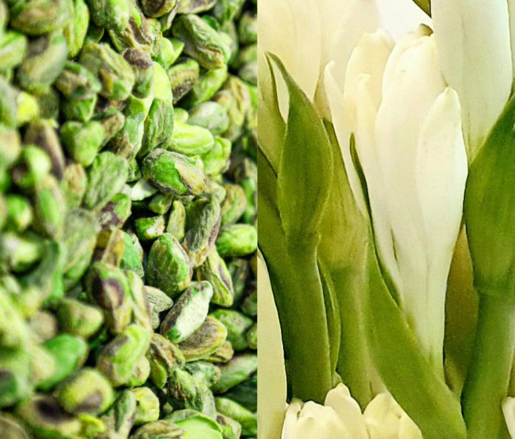 Dilshad 17.1 by Pierre Guillaume: Pistachio & Tuberose