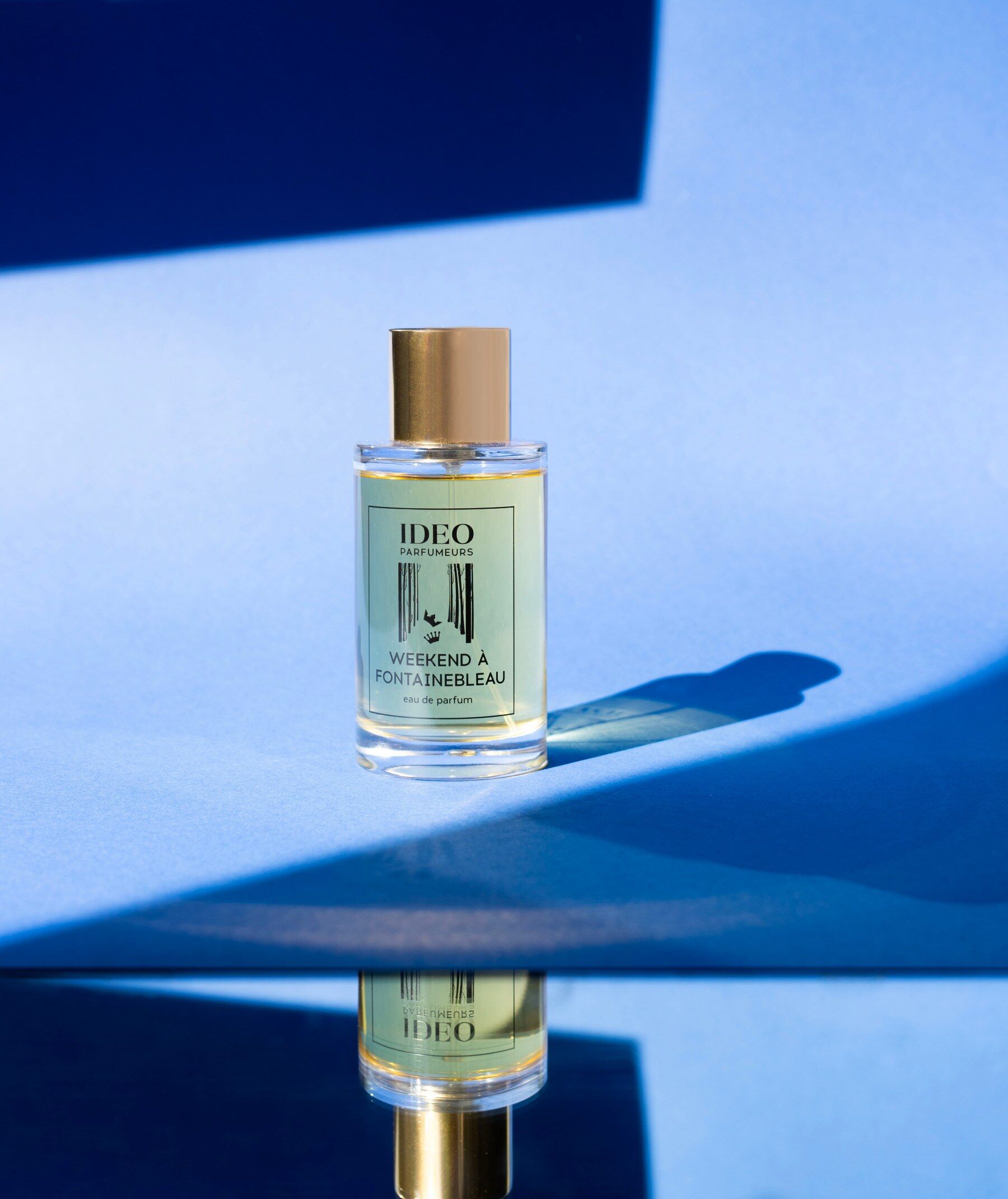 Bottle of perfume stood against a blue backdrop making geometric shapes