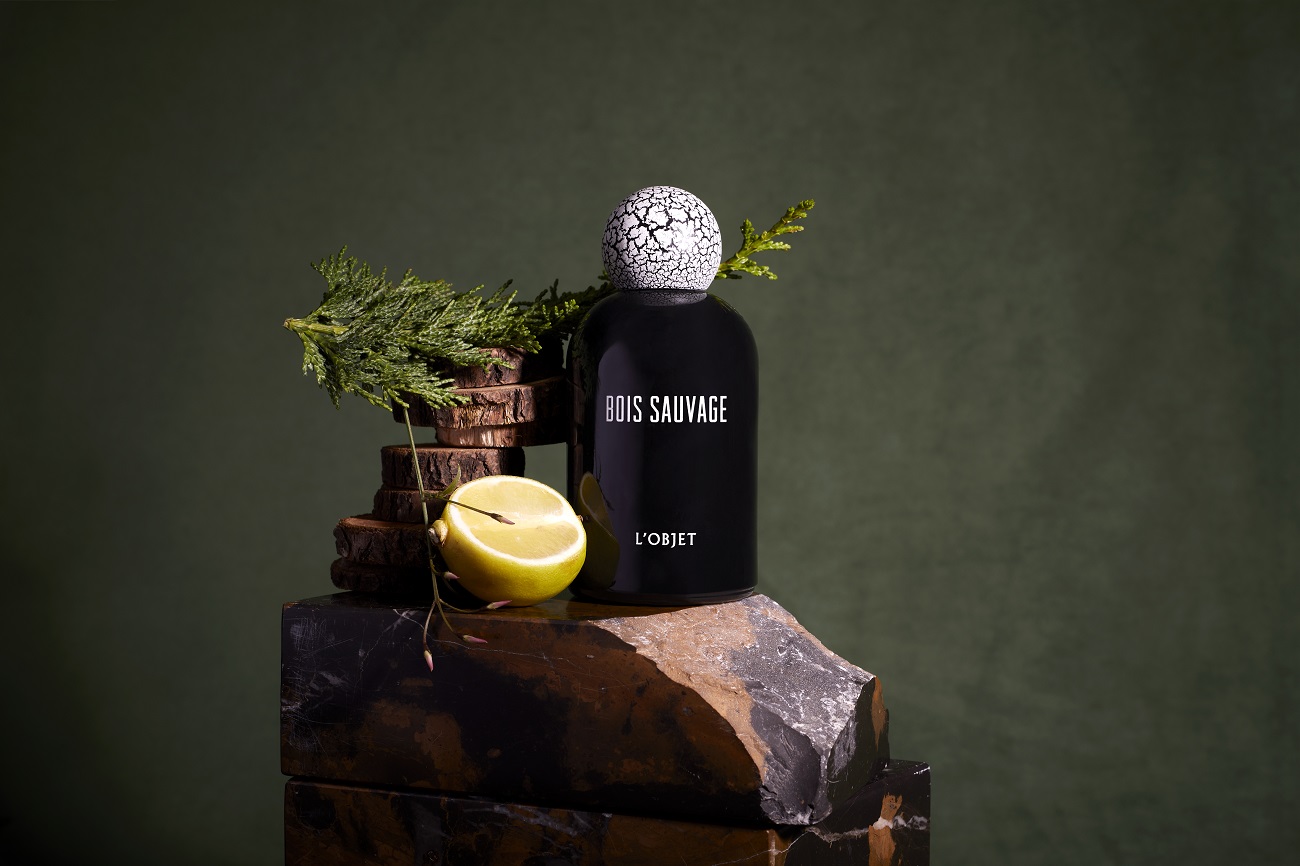 L'Objet Bois Sauvage