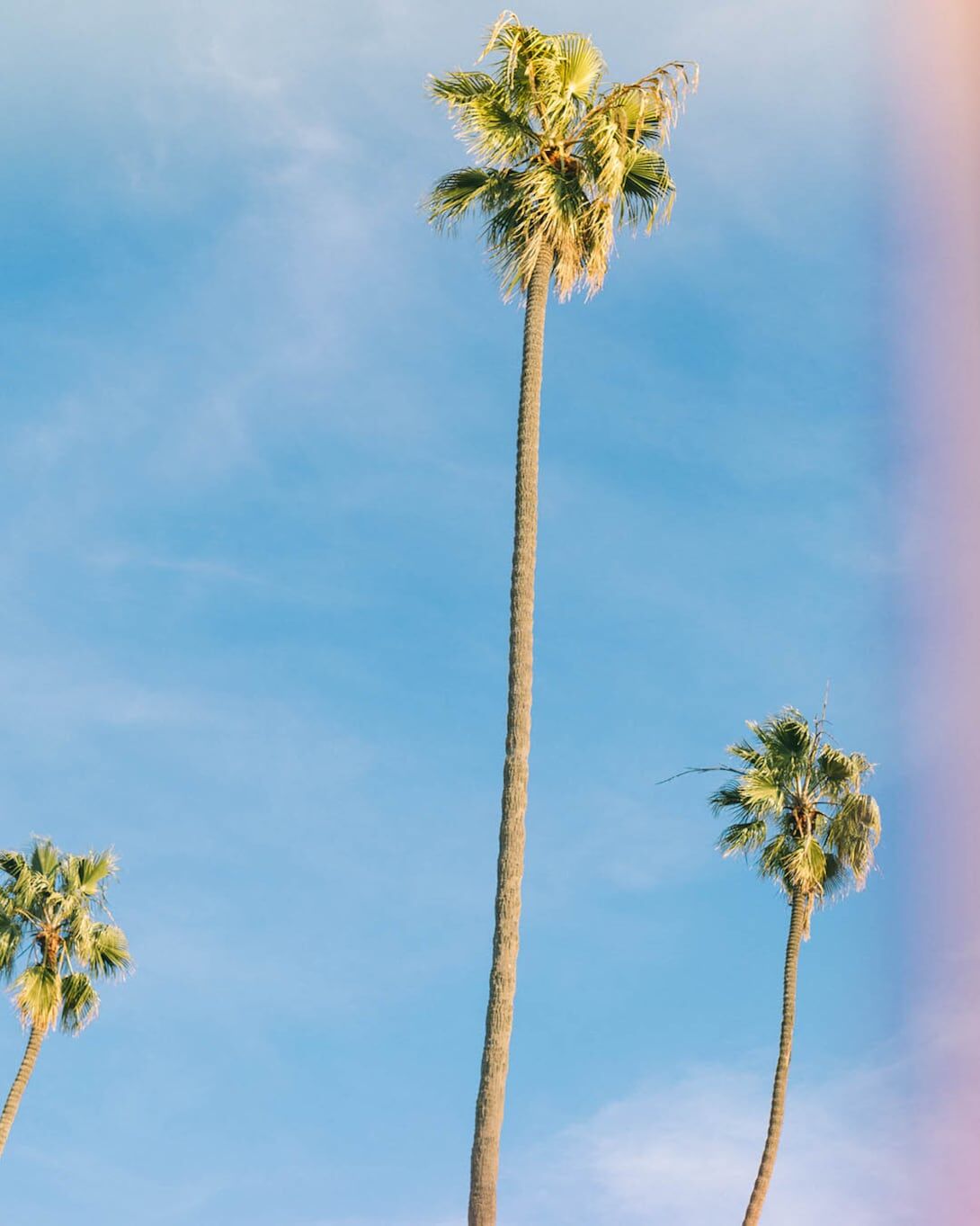 LC California scenery