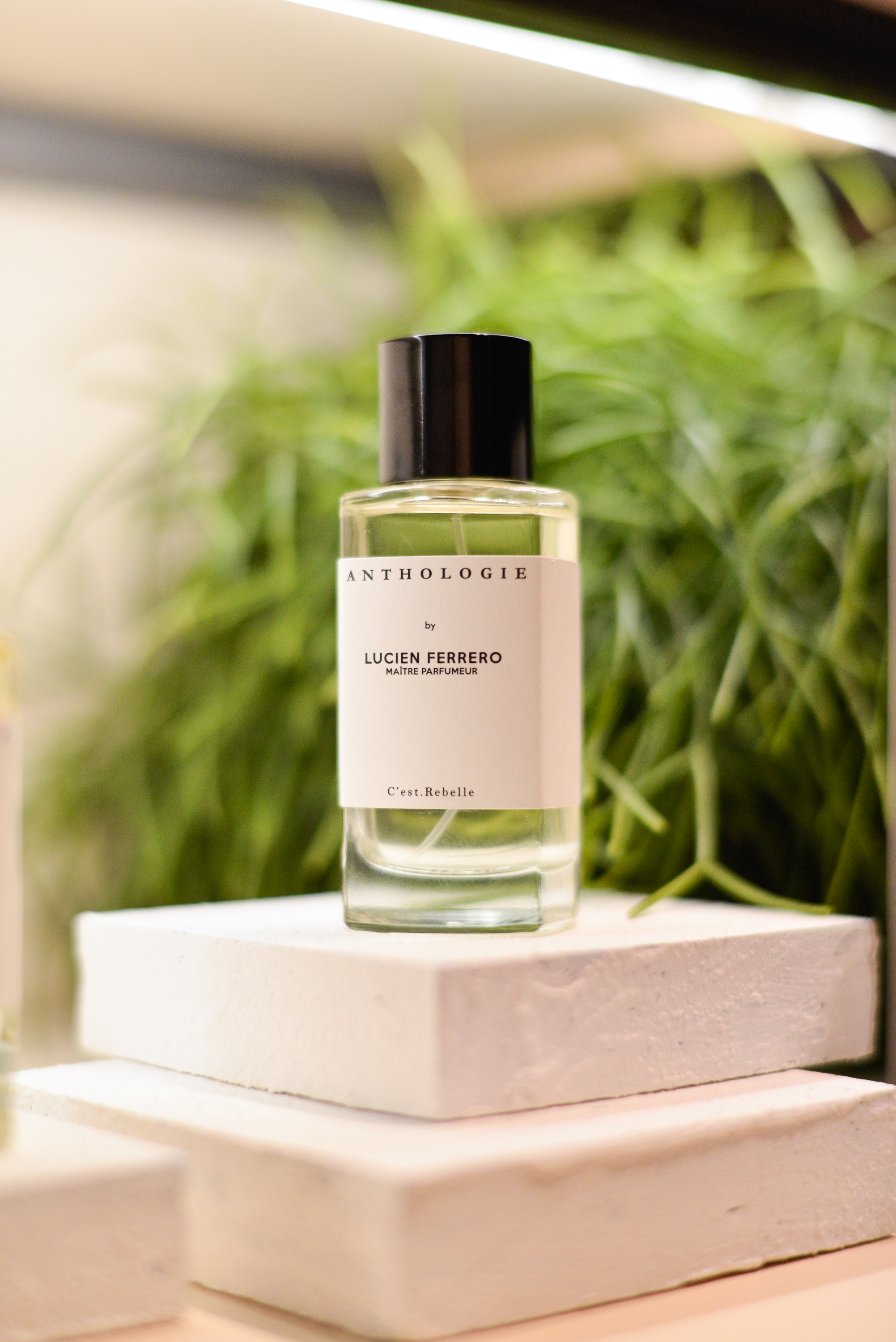 FRAGRANZE 2023: Спящая красавица Anthologie by Lucien Ferrero Maitre Parfumeur C’est.Rebelle