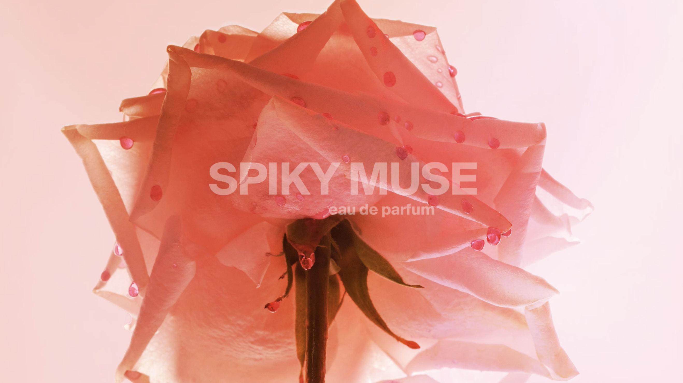 Ex Nihilo Spiky Muse