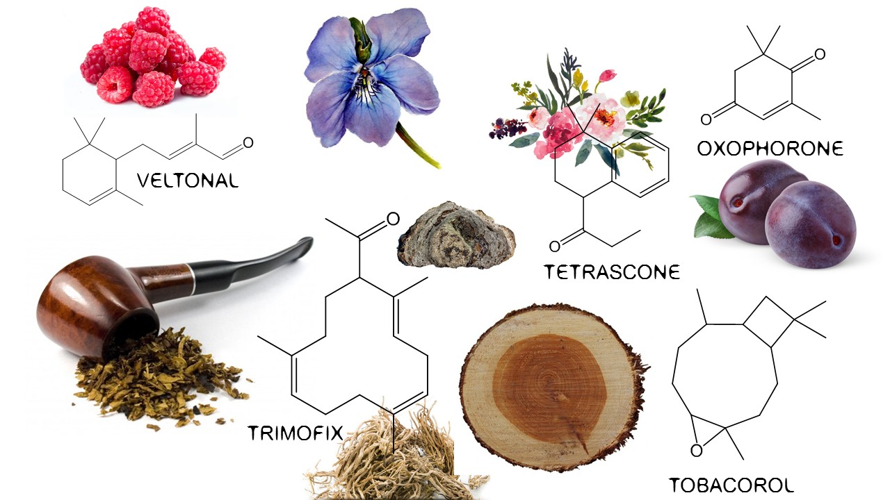 Tobacco in Perfumery History & Chemistry Raw Materials