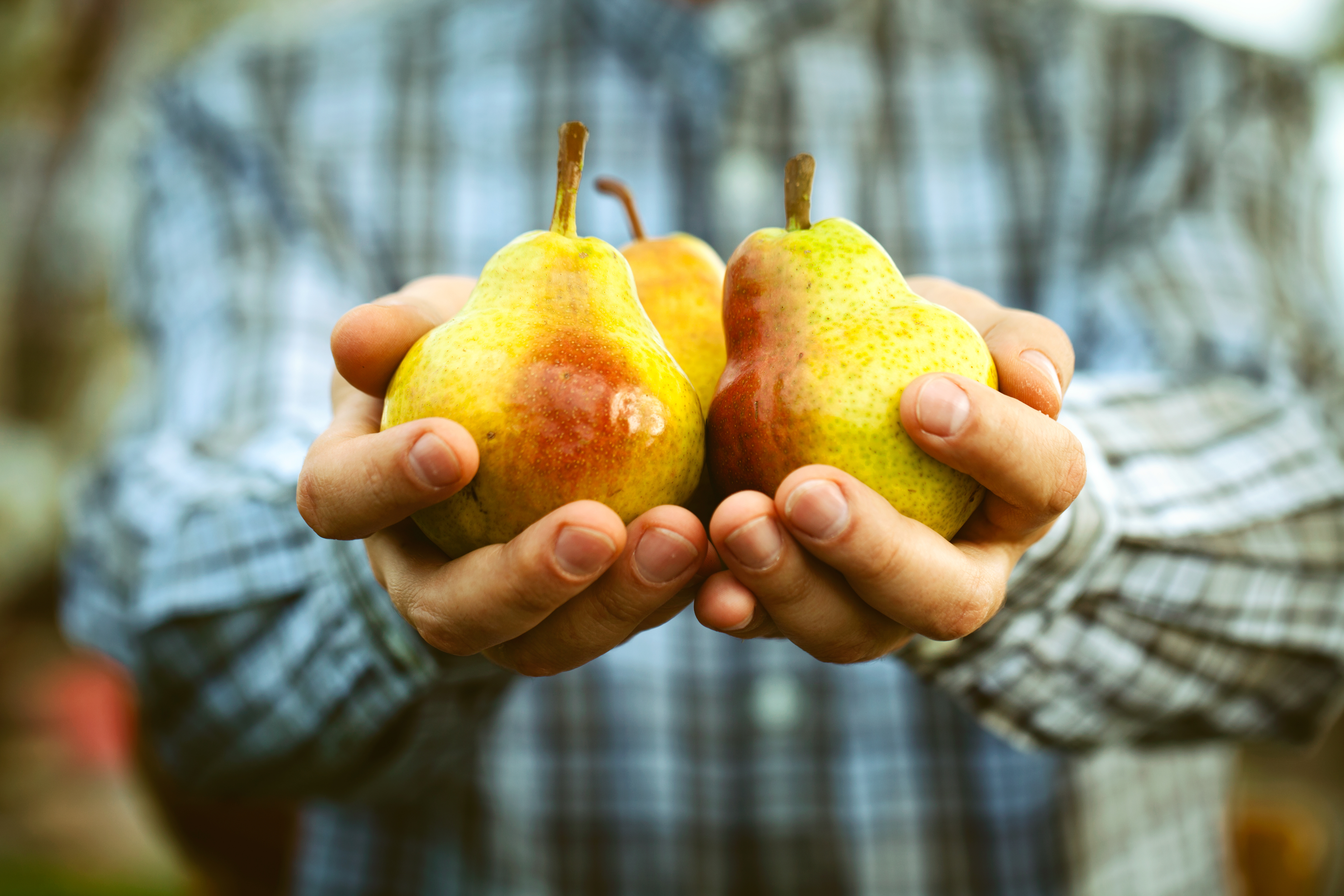 Pear