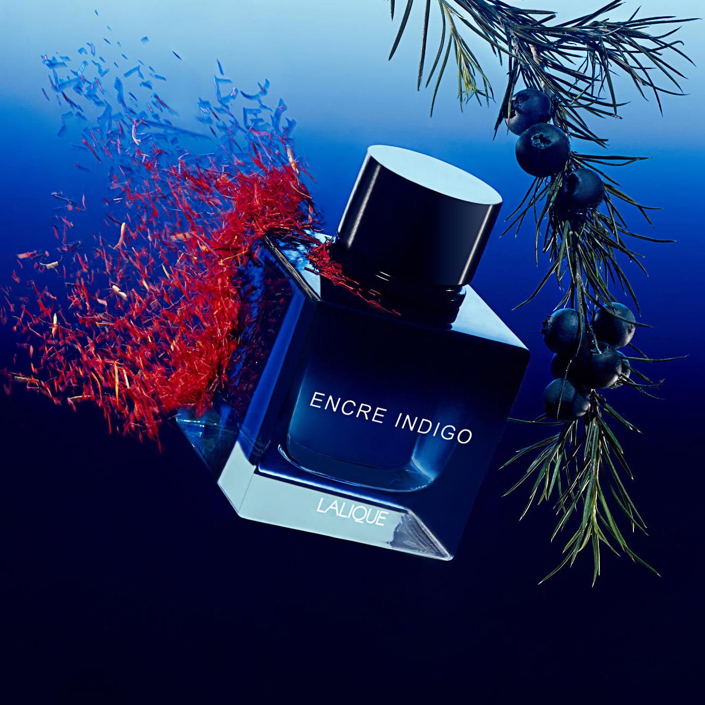 Have you seen the new Bleu Encre in real life?