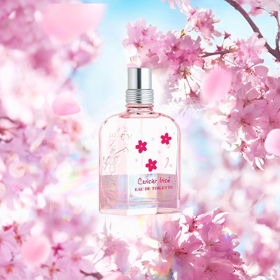 Loccitane Cherry Blossom Cerisier Irisé Eau De Toilette