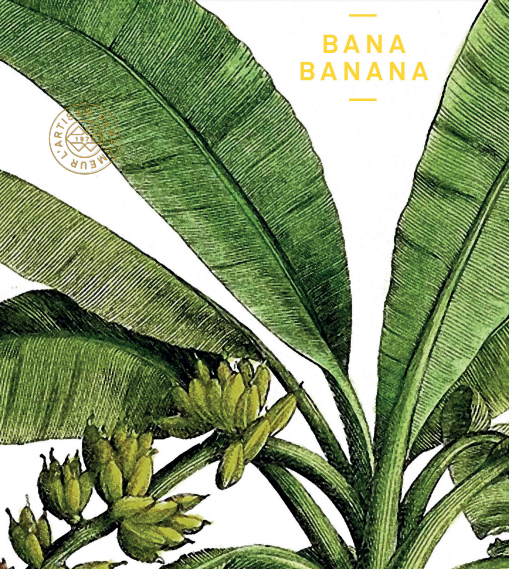 bana banana parfum