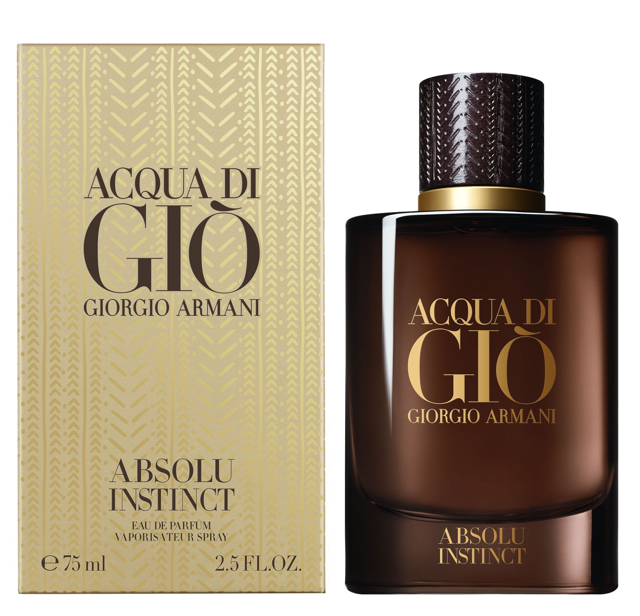 gio armani absolute