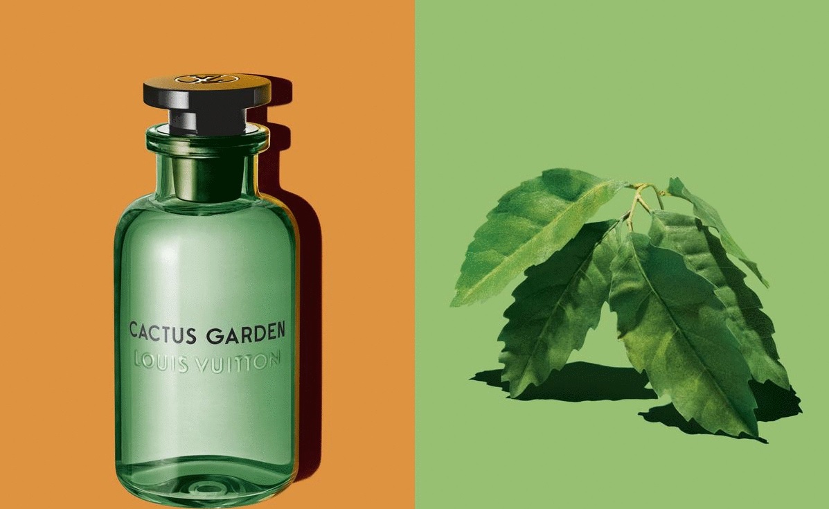 Louis Vuitton Les Colognes: Afternoon Swim, Cactus Garden & Sun Song ~ New Fragrances