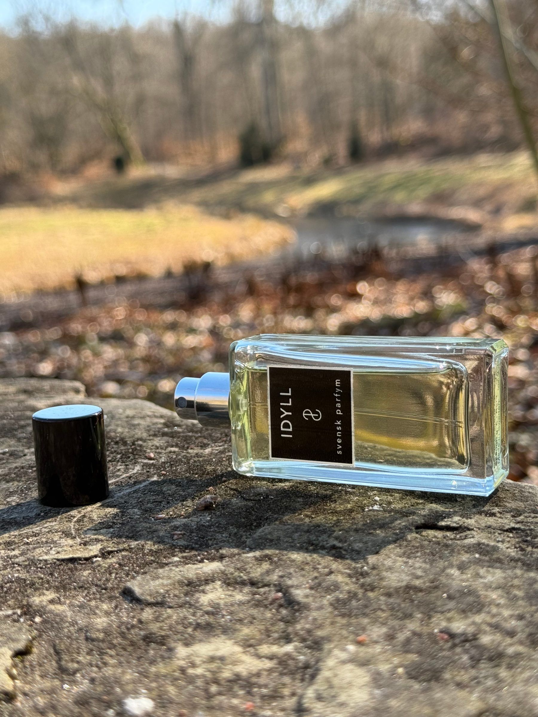 Idyll on a rock