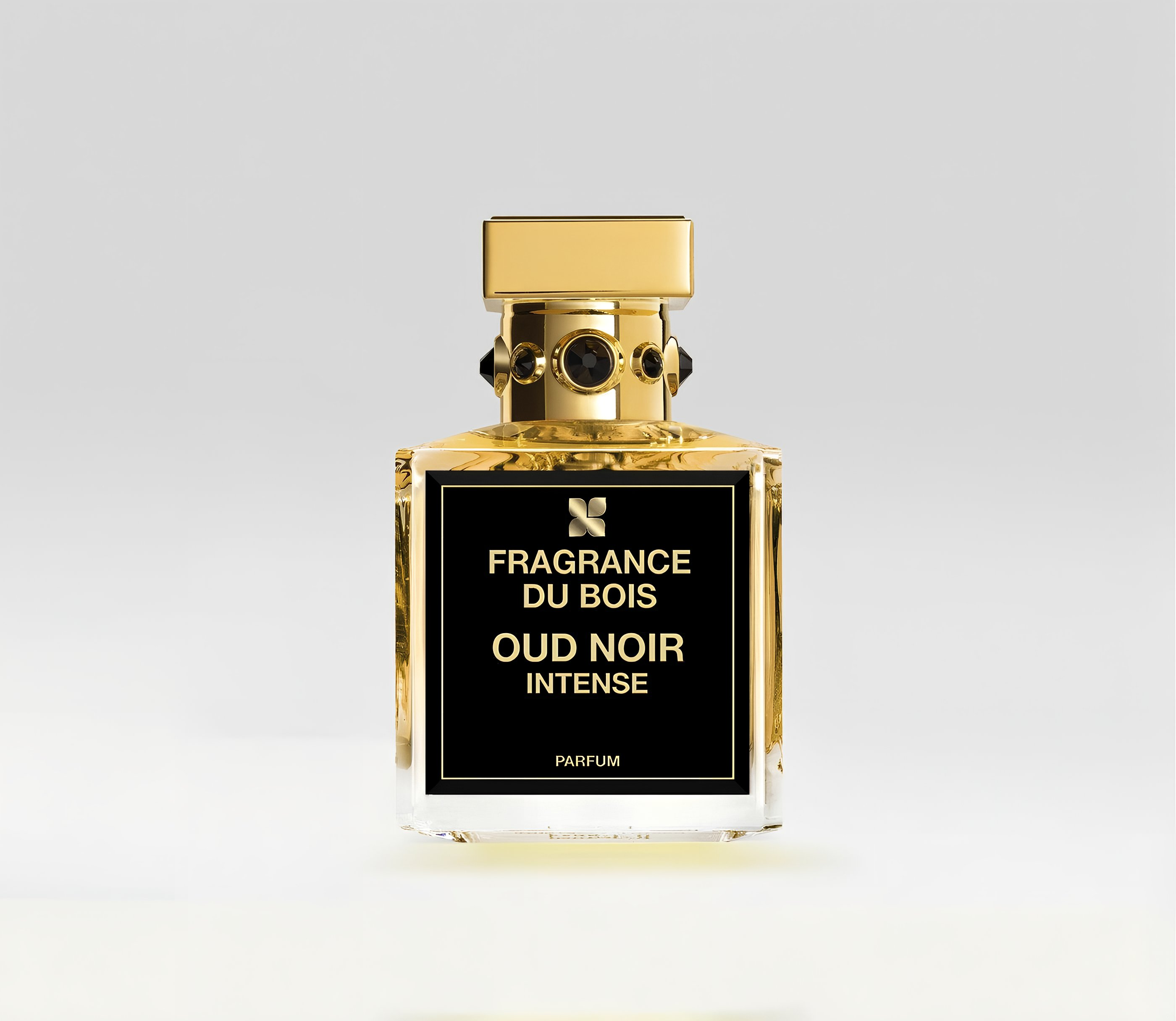 Oud Noir Intense от Fragrance Du Bois