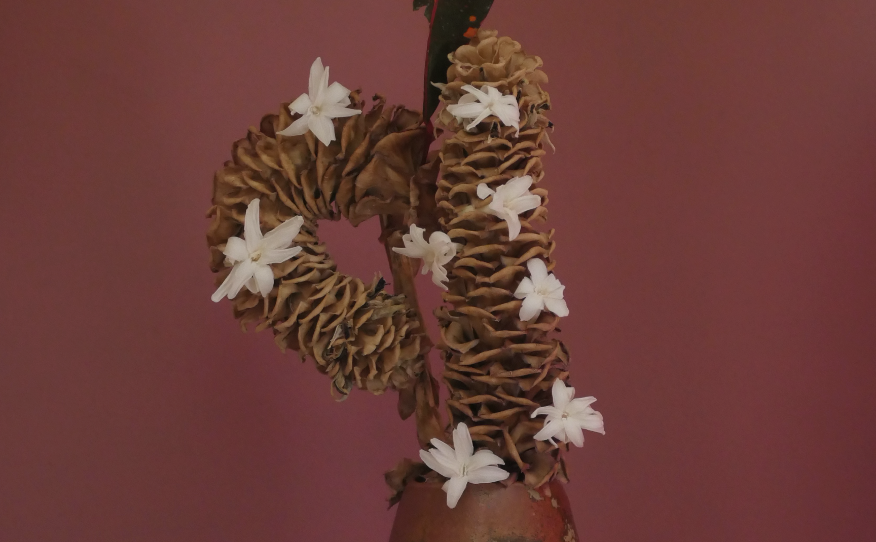 Брутальная тубероза: Tóor-Tóor от Régime des Fleurs