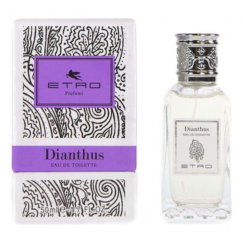 Dianthus Etro