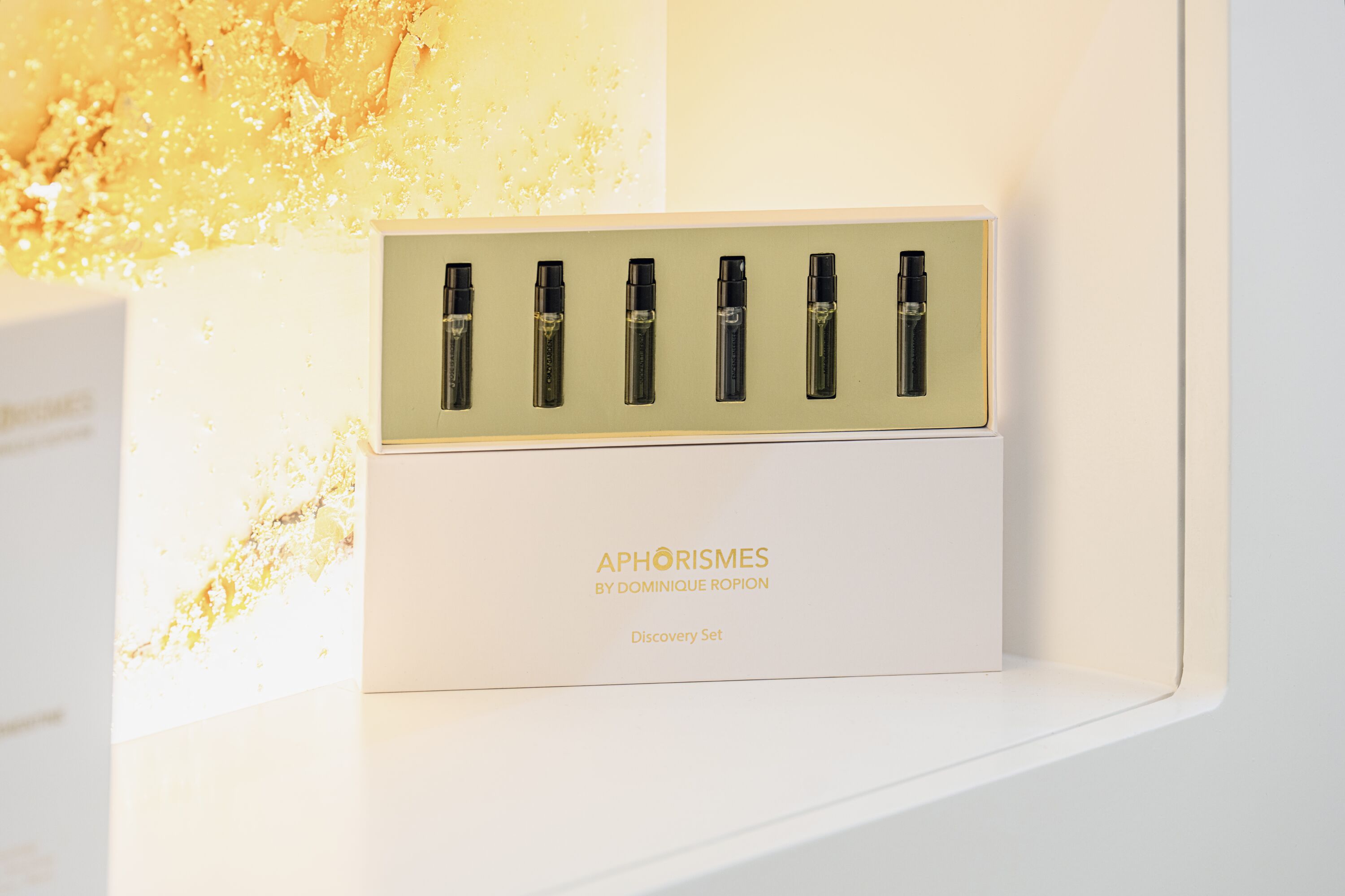 Aphorismes by Dominique Ropion