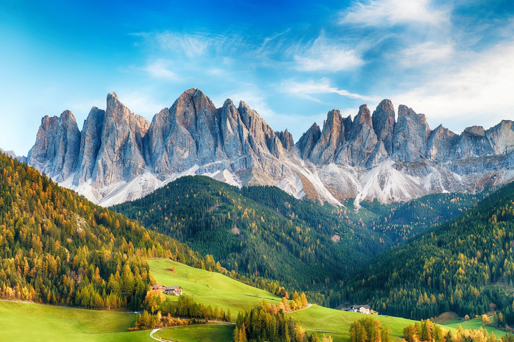 An Alpine mountain range against a blue sky with flowers in the foreground, pretty and uplifting