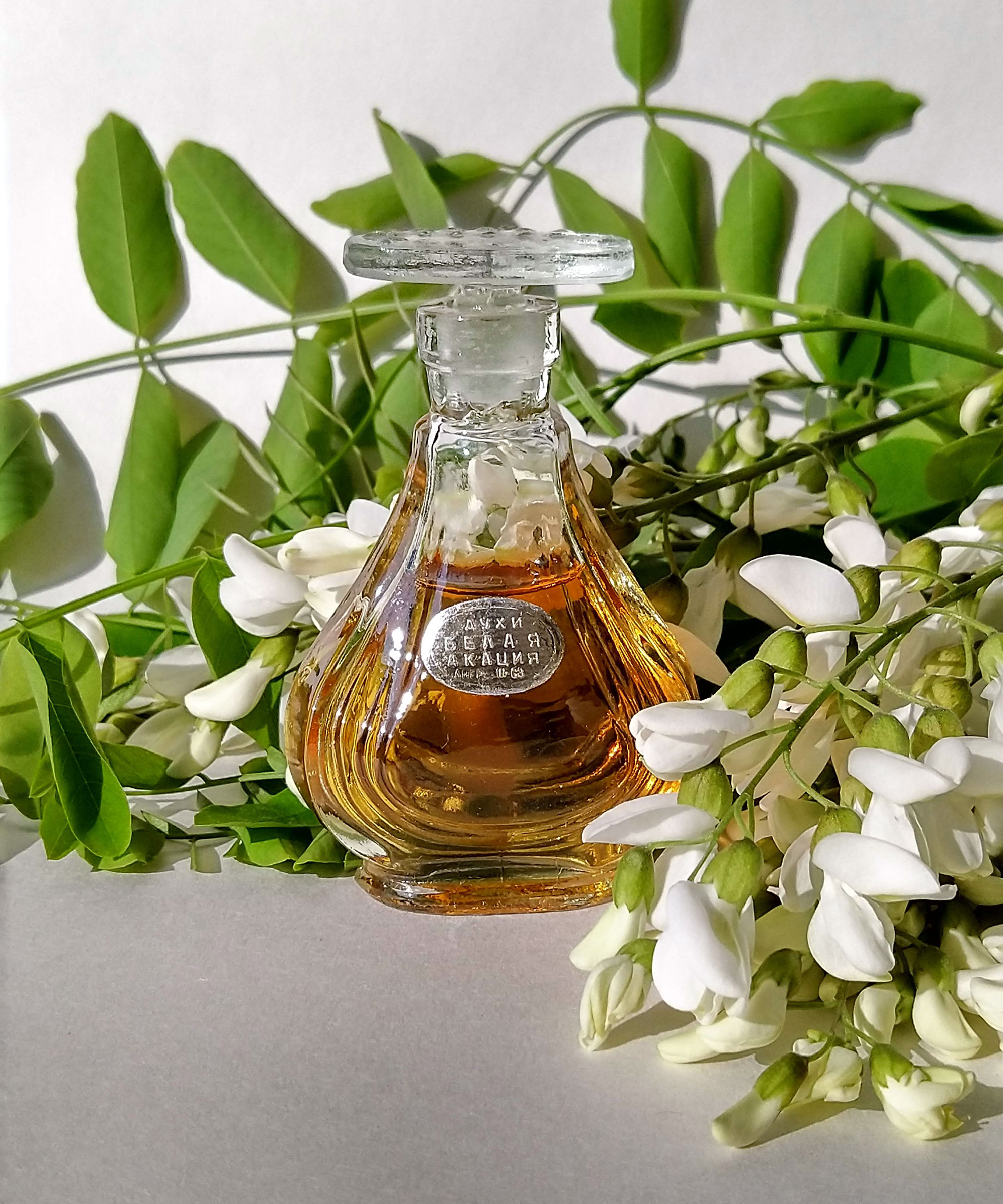 Эфирное масло лаванды. Душистое растение используемое в парфюмерии. Эфирные масла в растениях. Флакон духов. Эфирные масла арома.