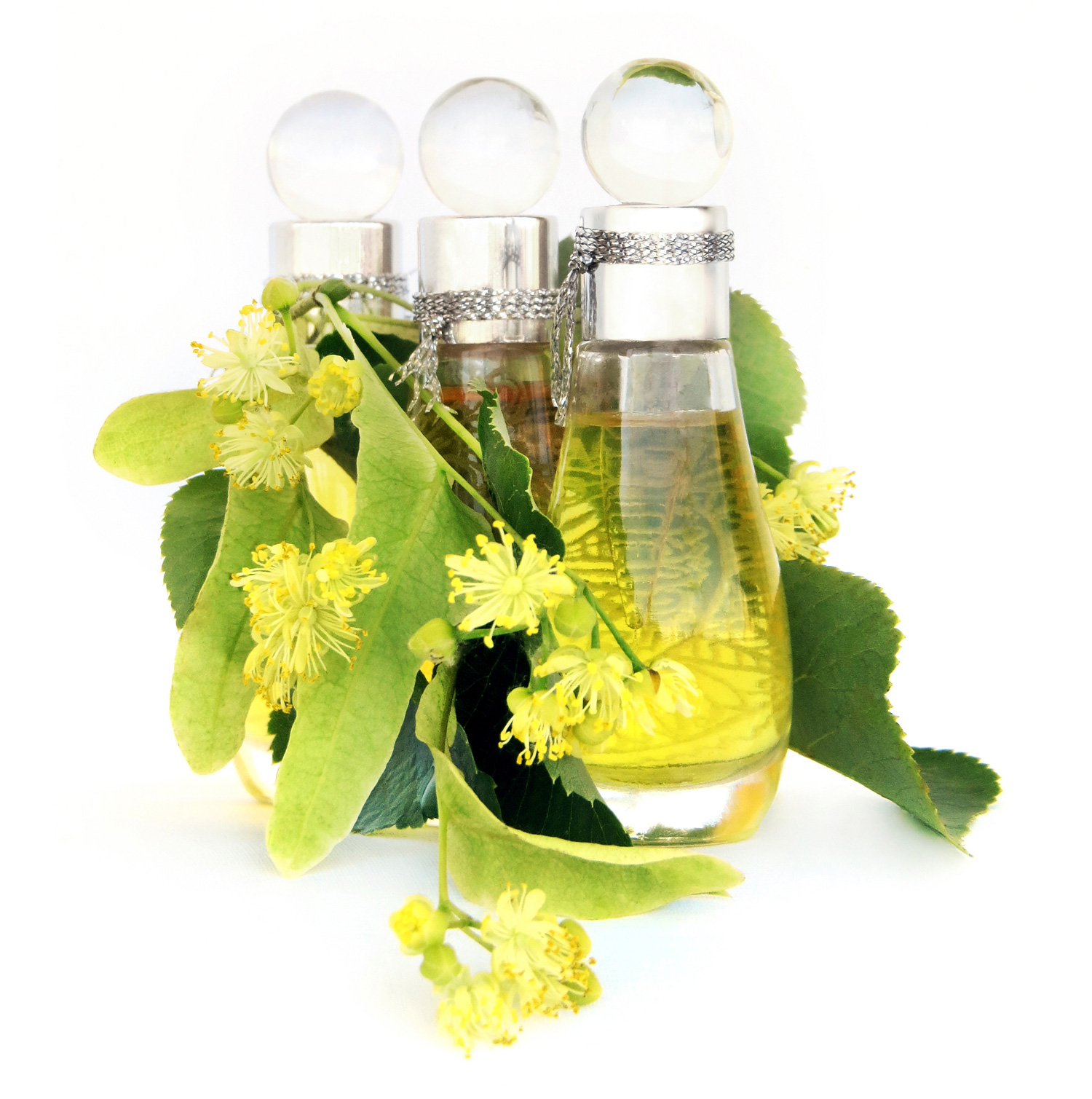 linden blossom perfume