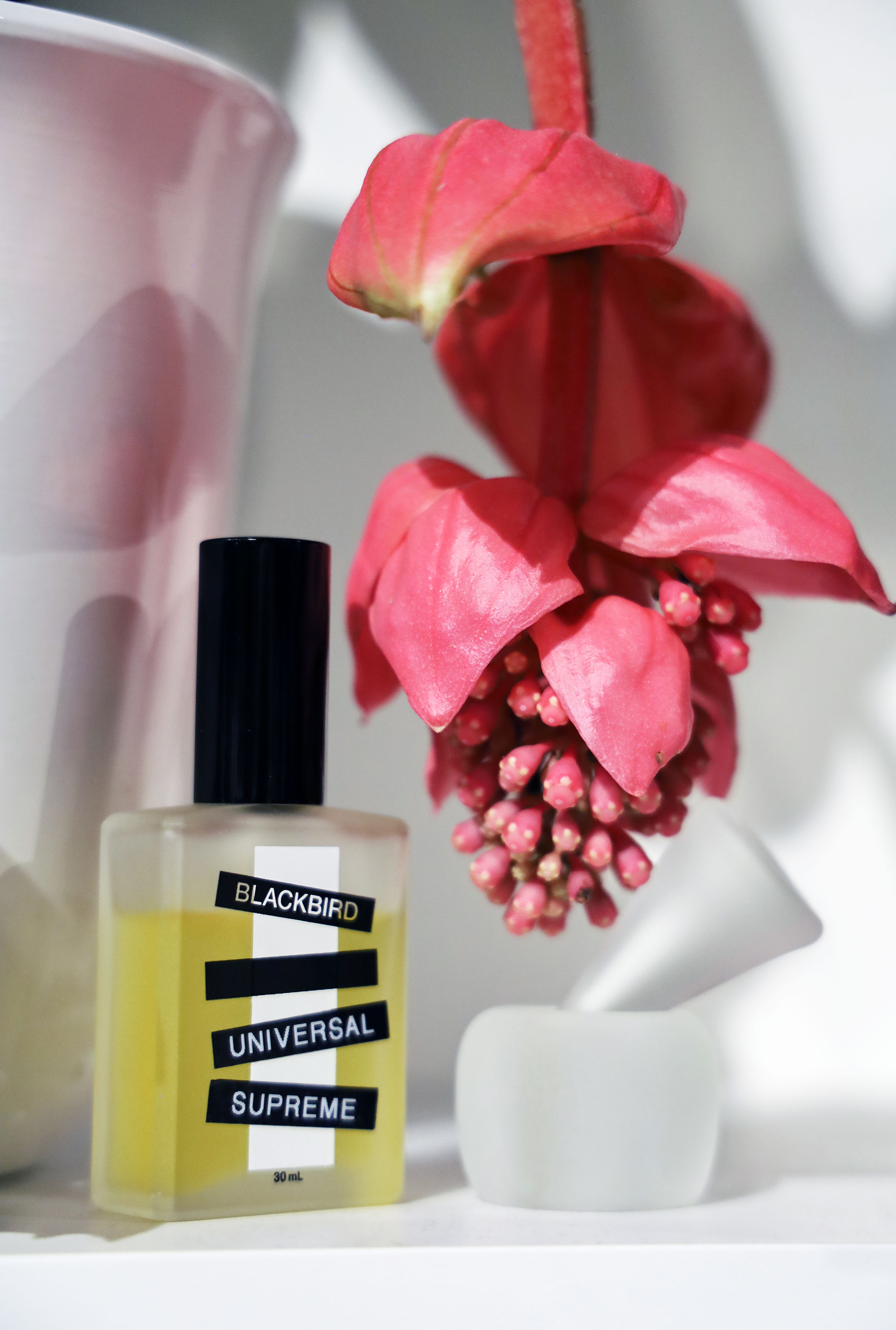 Universal Supreme, the Indisputable Anthem of Summer 2019 Fragrance