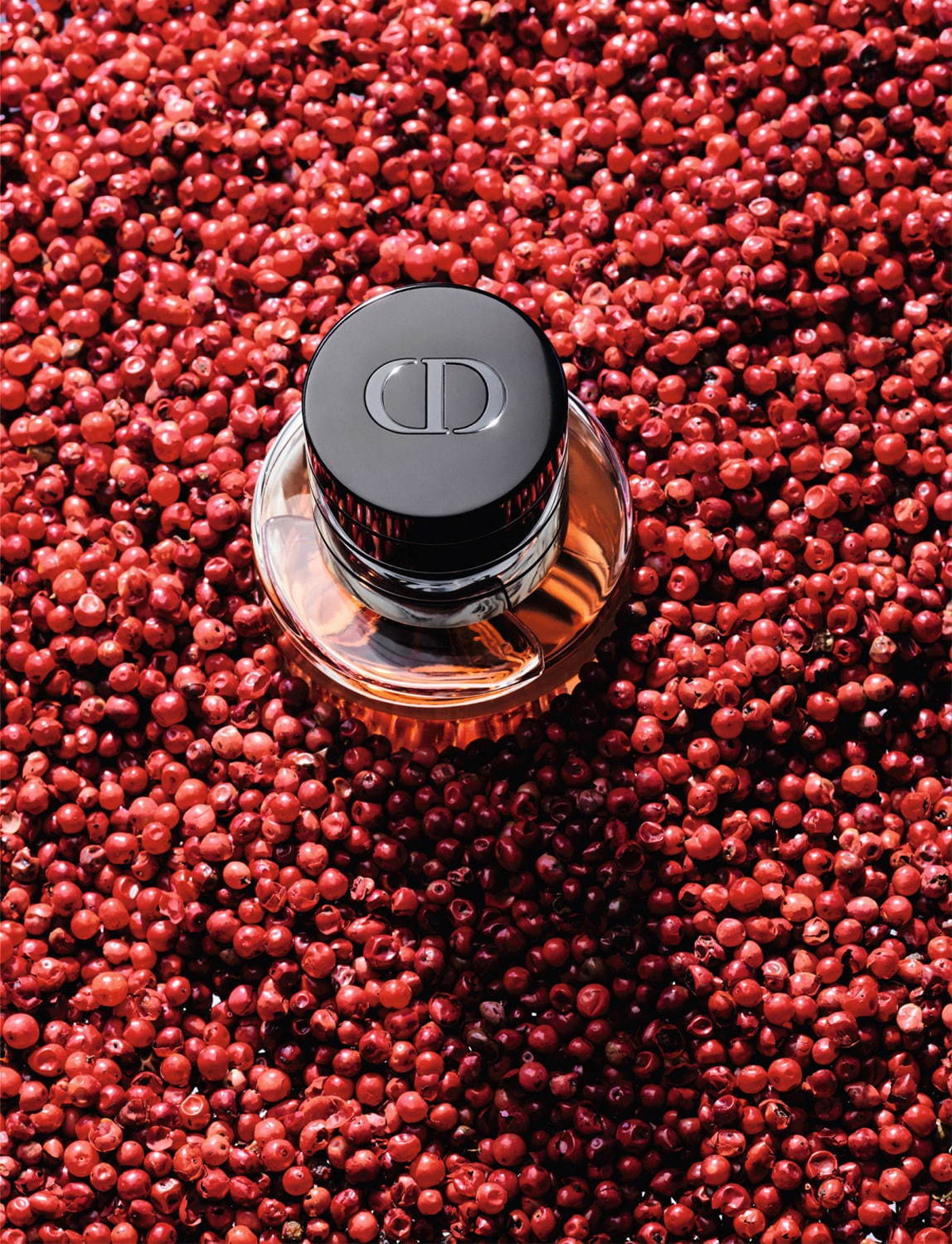 Maison Christian Dior Collection: Spice 