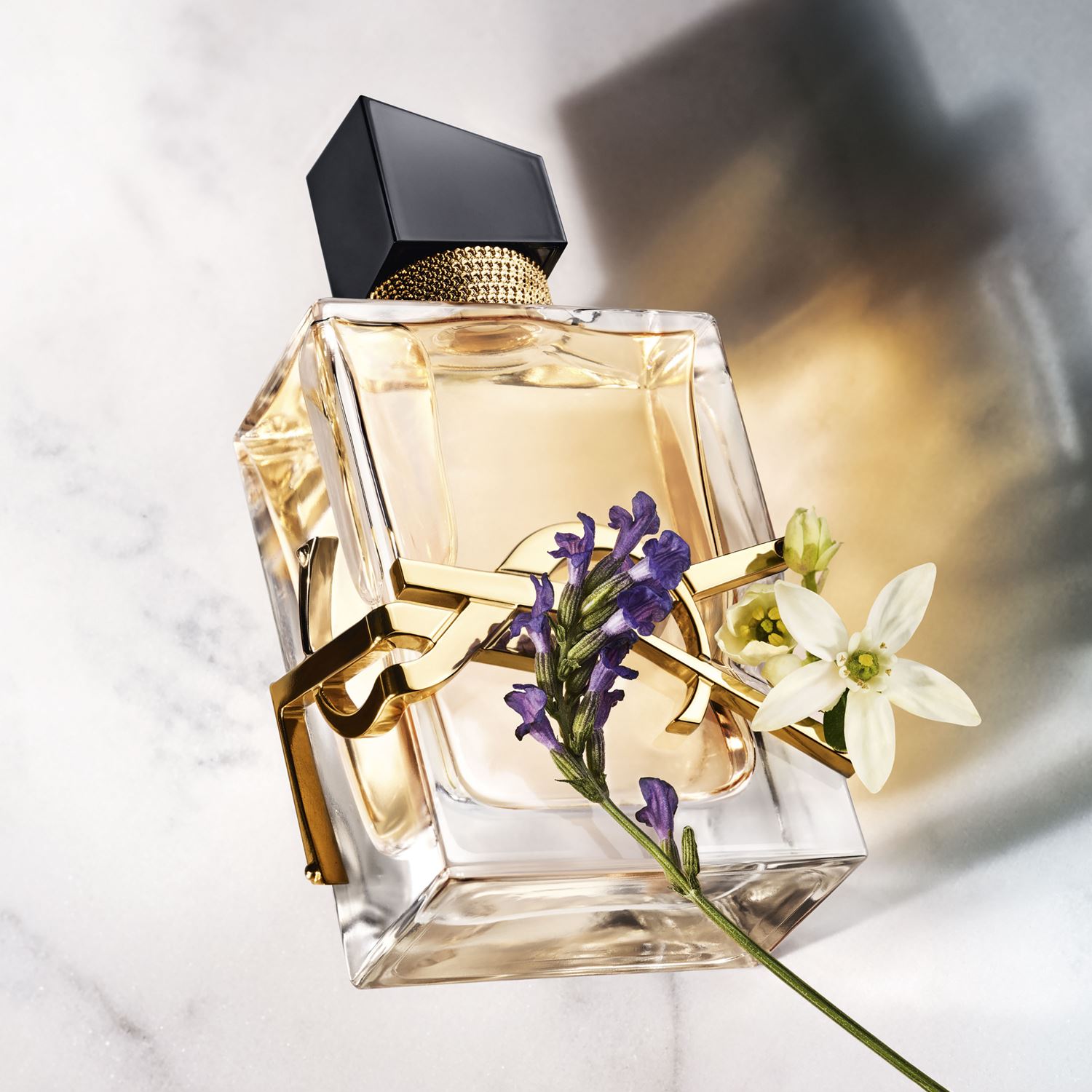 Yves Saint Laurent Libre ~ New Fragrances