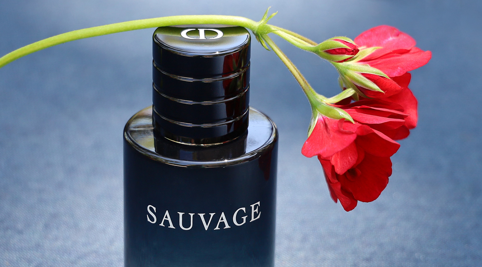 fragrantica eau sauvage parfum