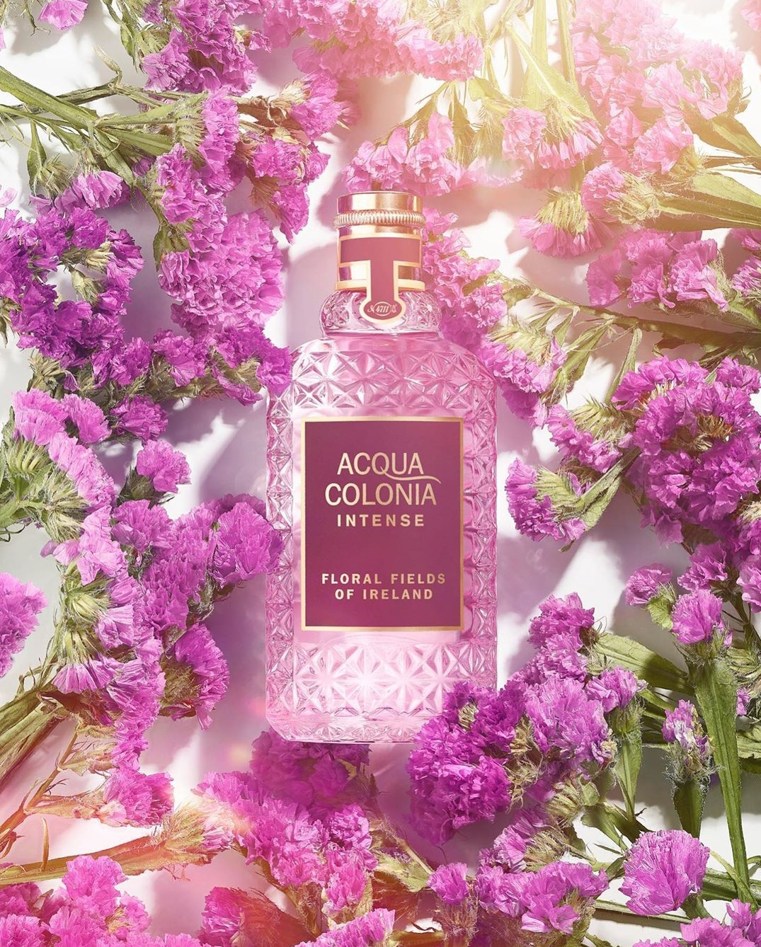 colonia flower