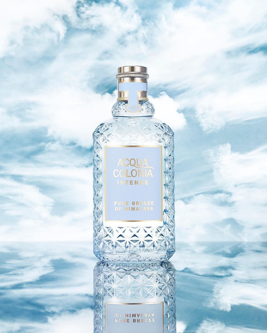 acqua colonia intense