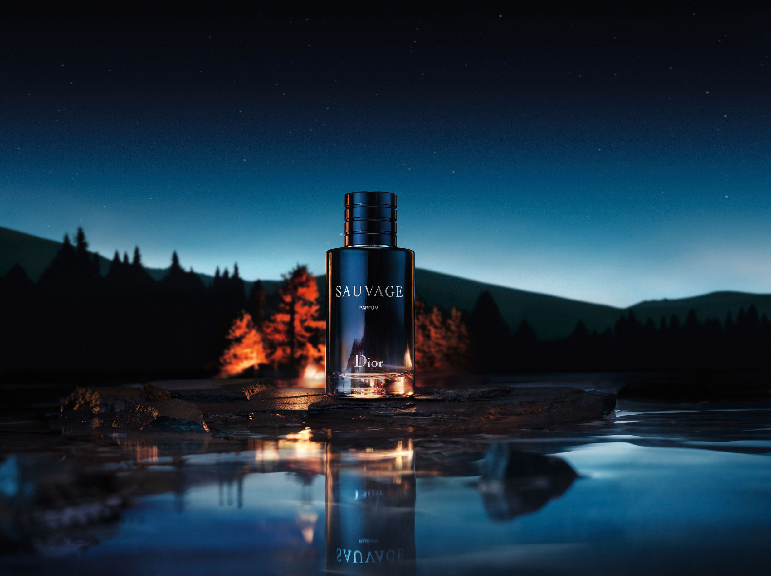 sauvage parfum 2019