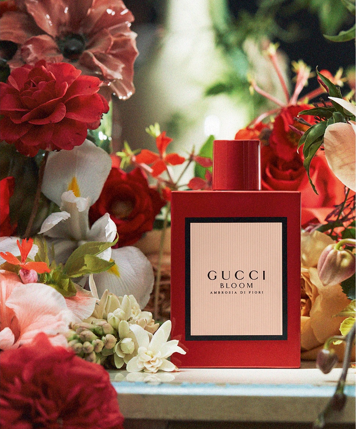 gucci floral bloom