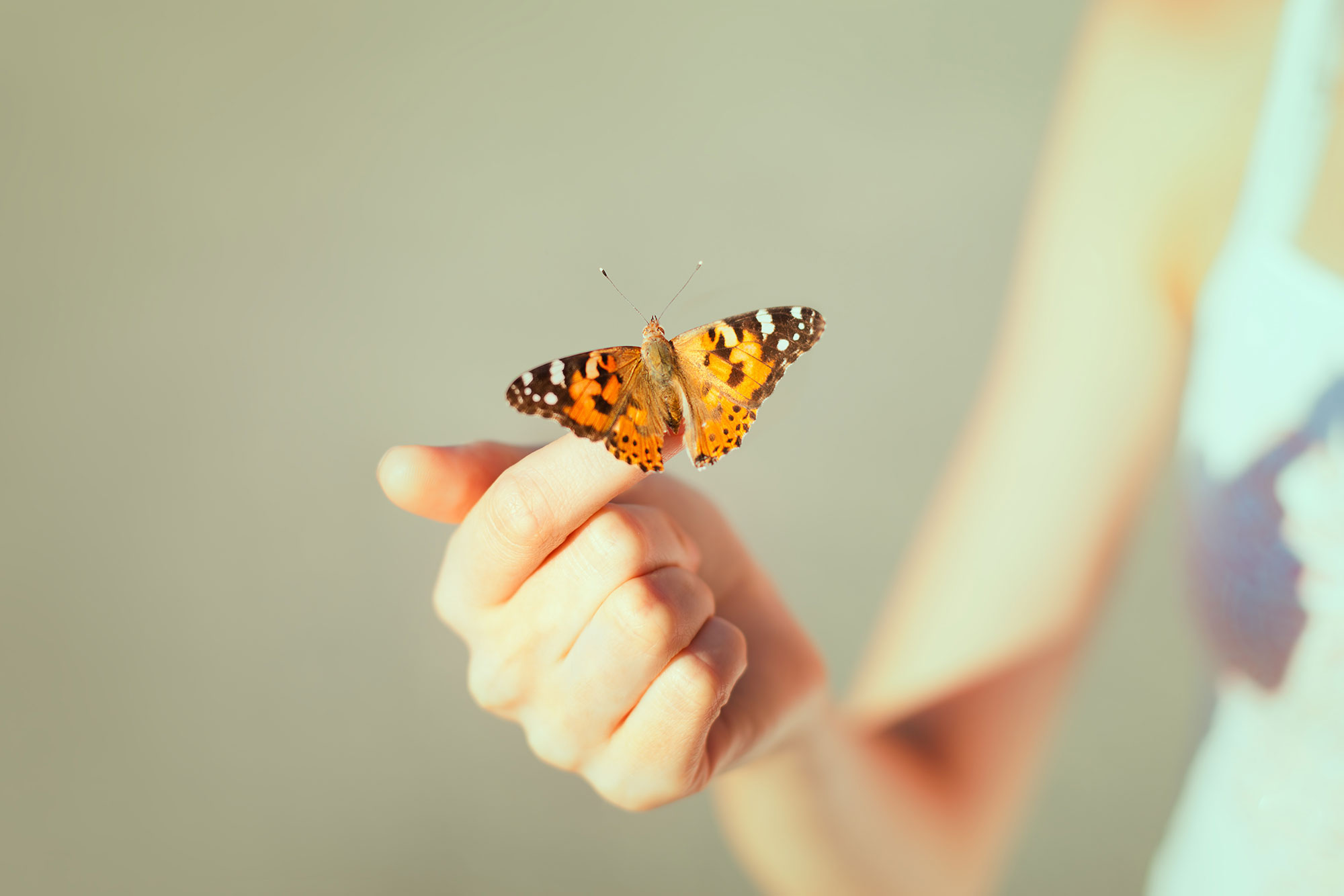 butterfly on fingers
