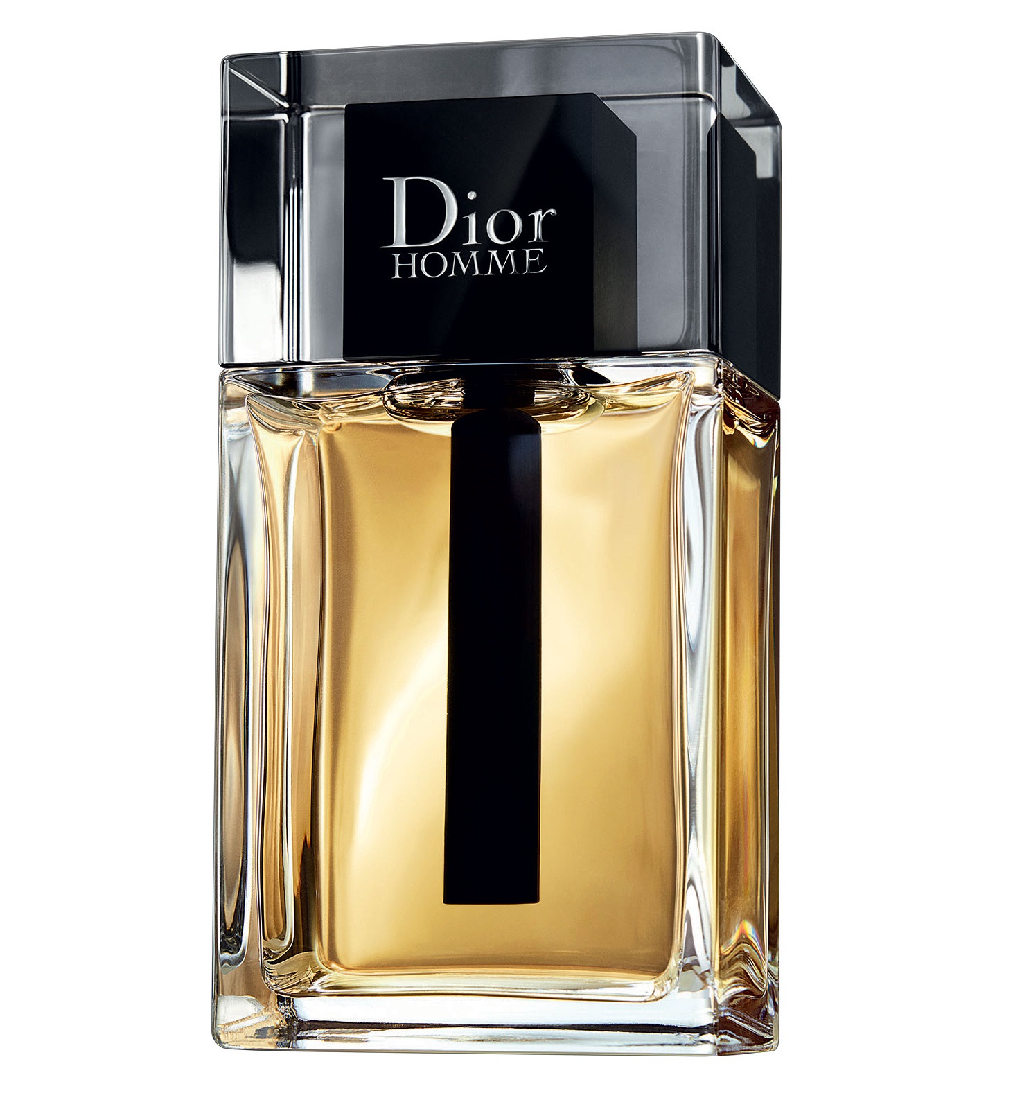 new dior homme