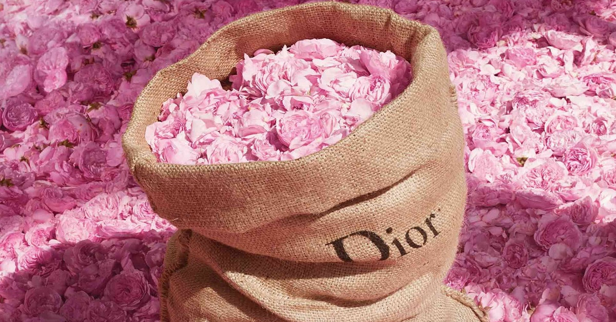 Roses And Geranium In The New Year Miss Dior Rose N Roses