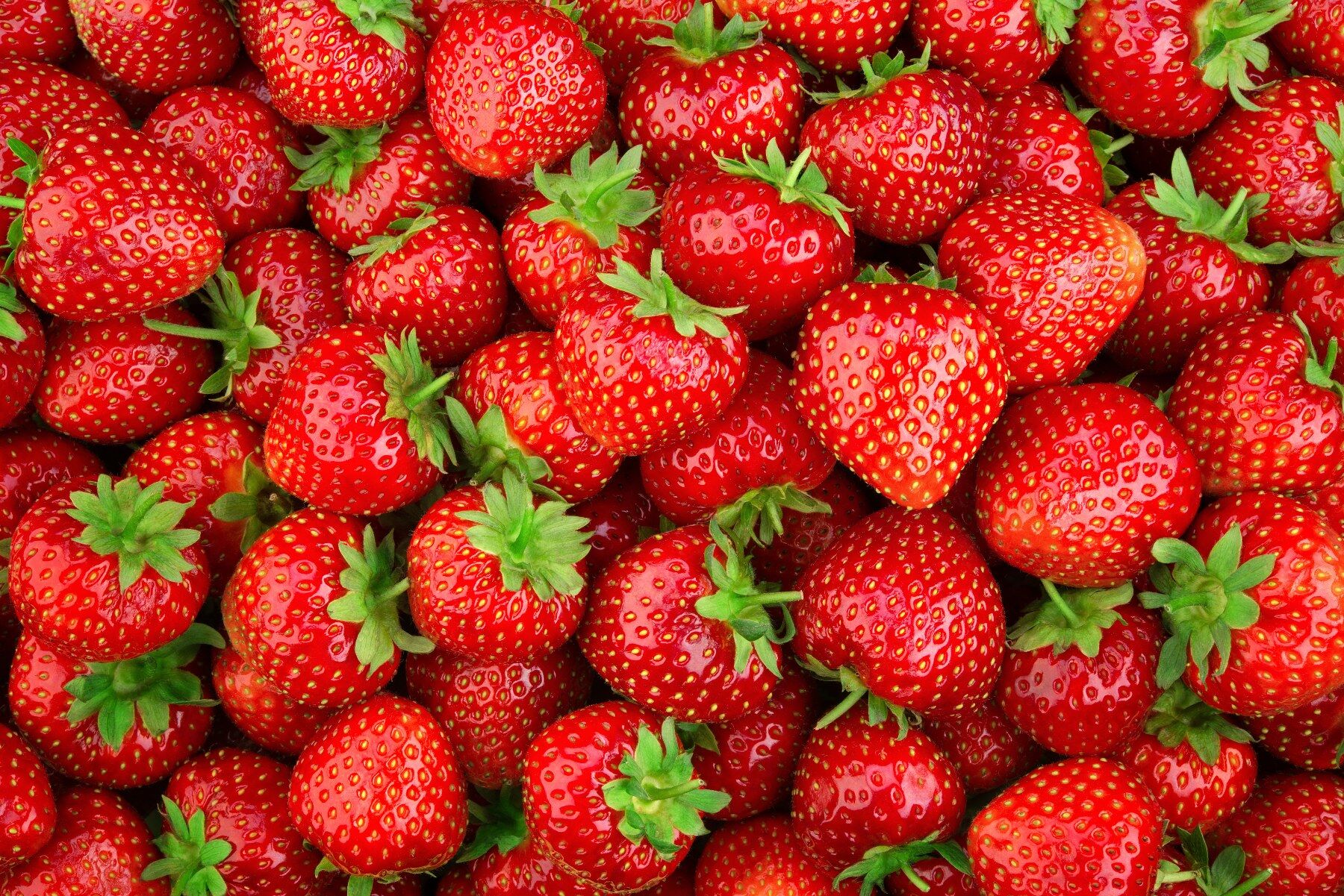 Strawberries