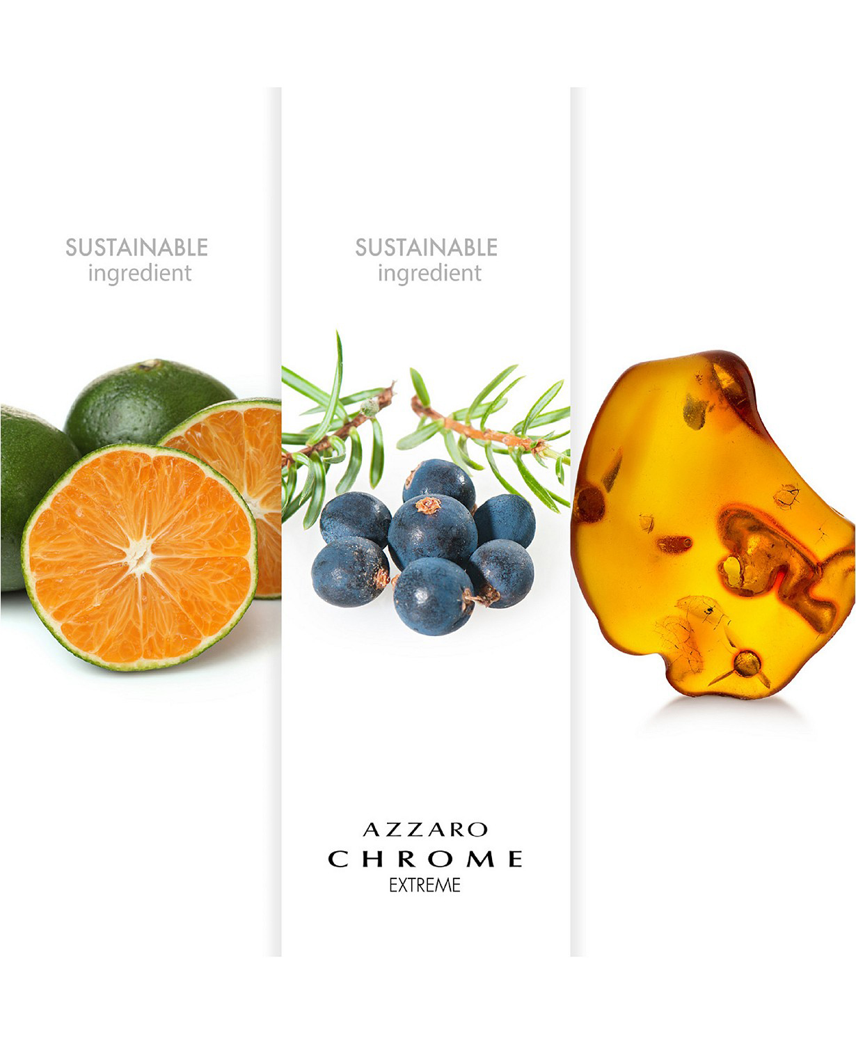 chrome fragrantica