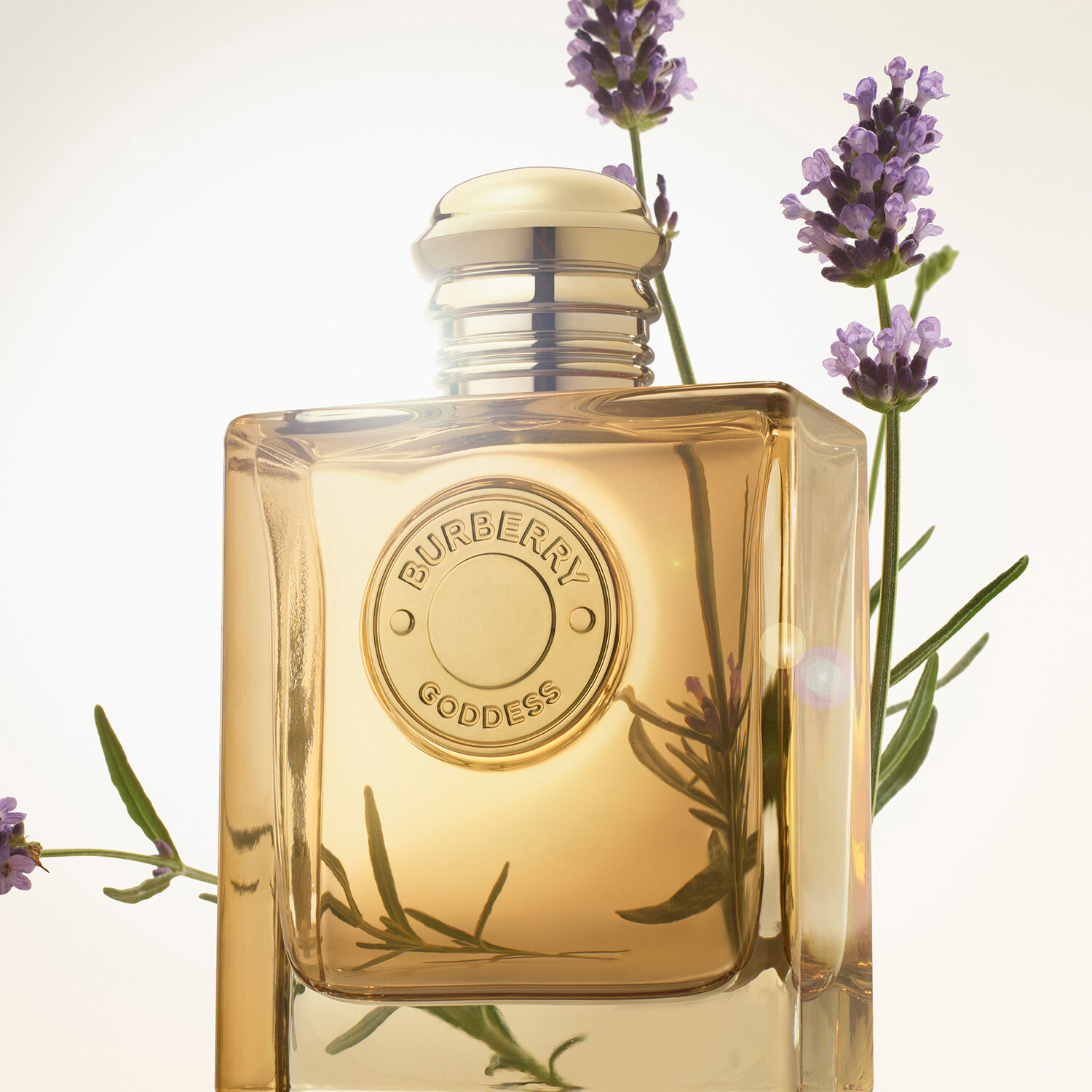 BURBERRY GODDESS INTENSE
