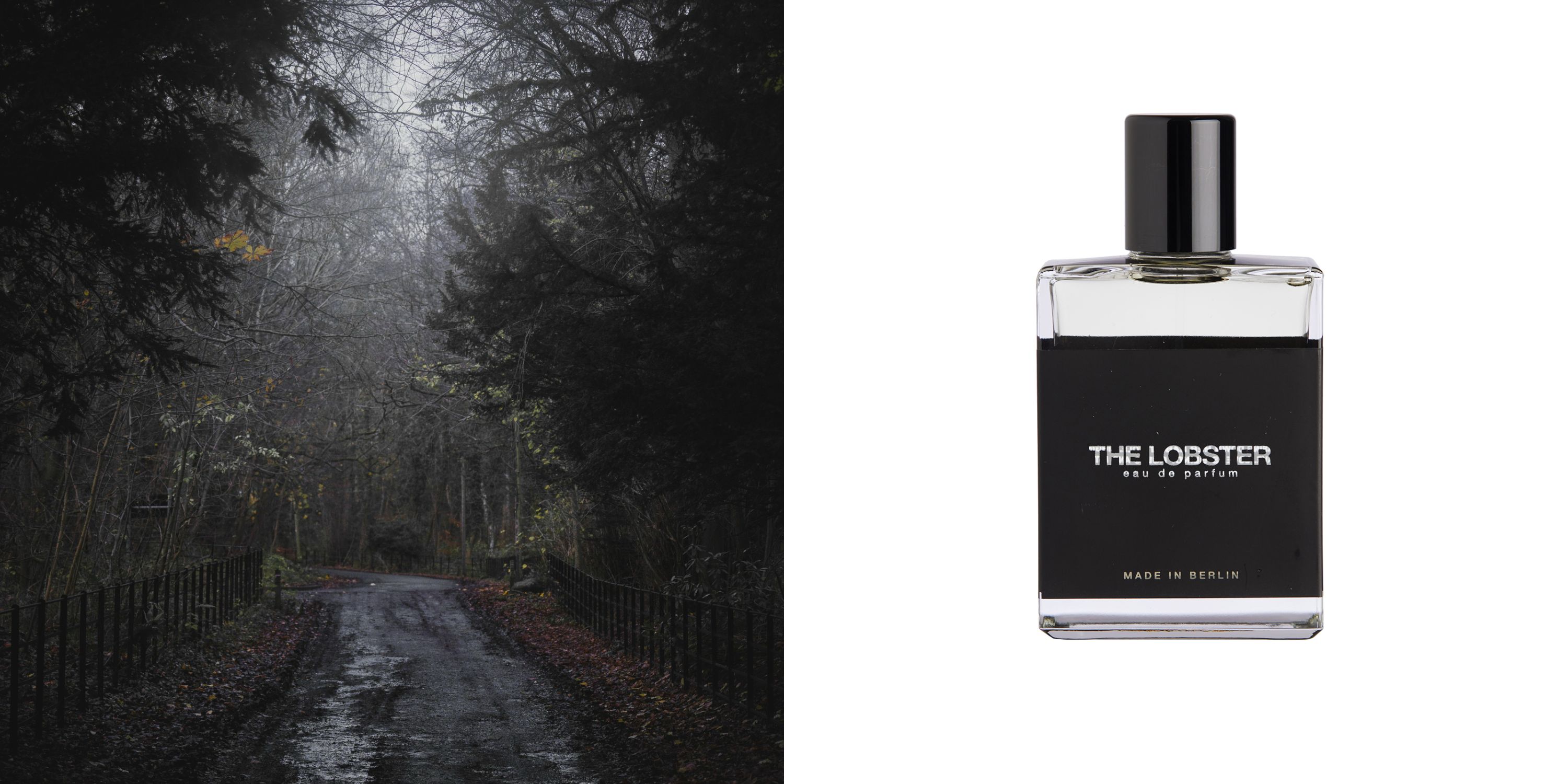 The Lobster Moth and Rabbit for women and men